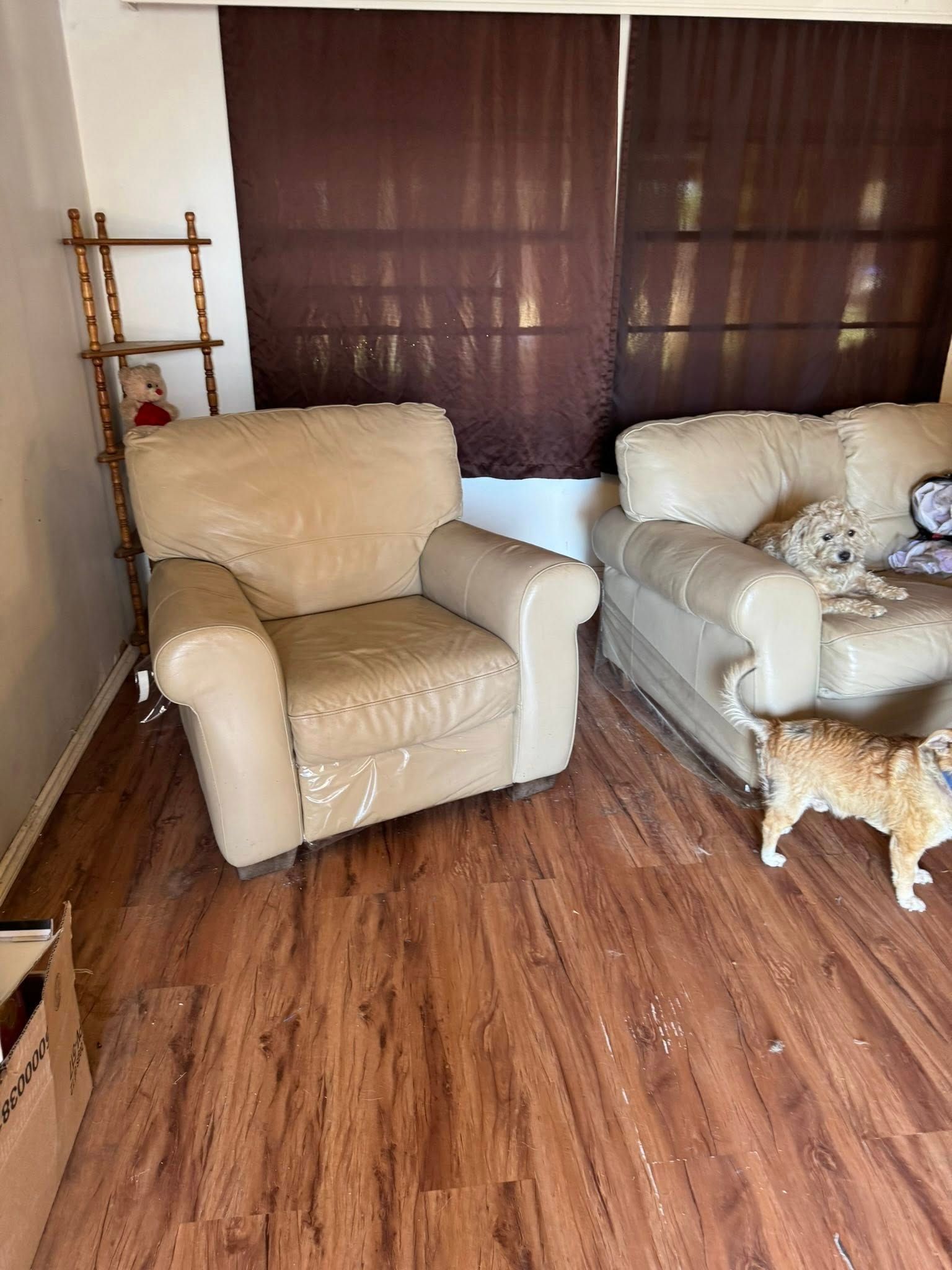 Beige leather chair and sofa in a room with wood flooring, brown curtains, and a small dog.