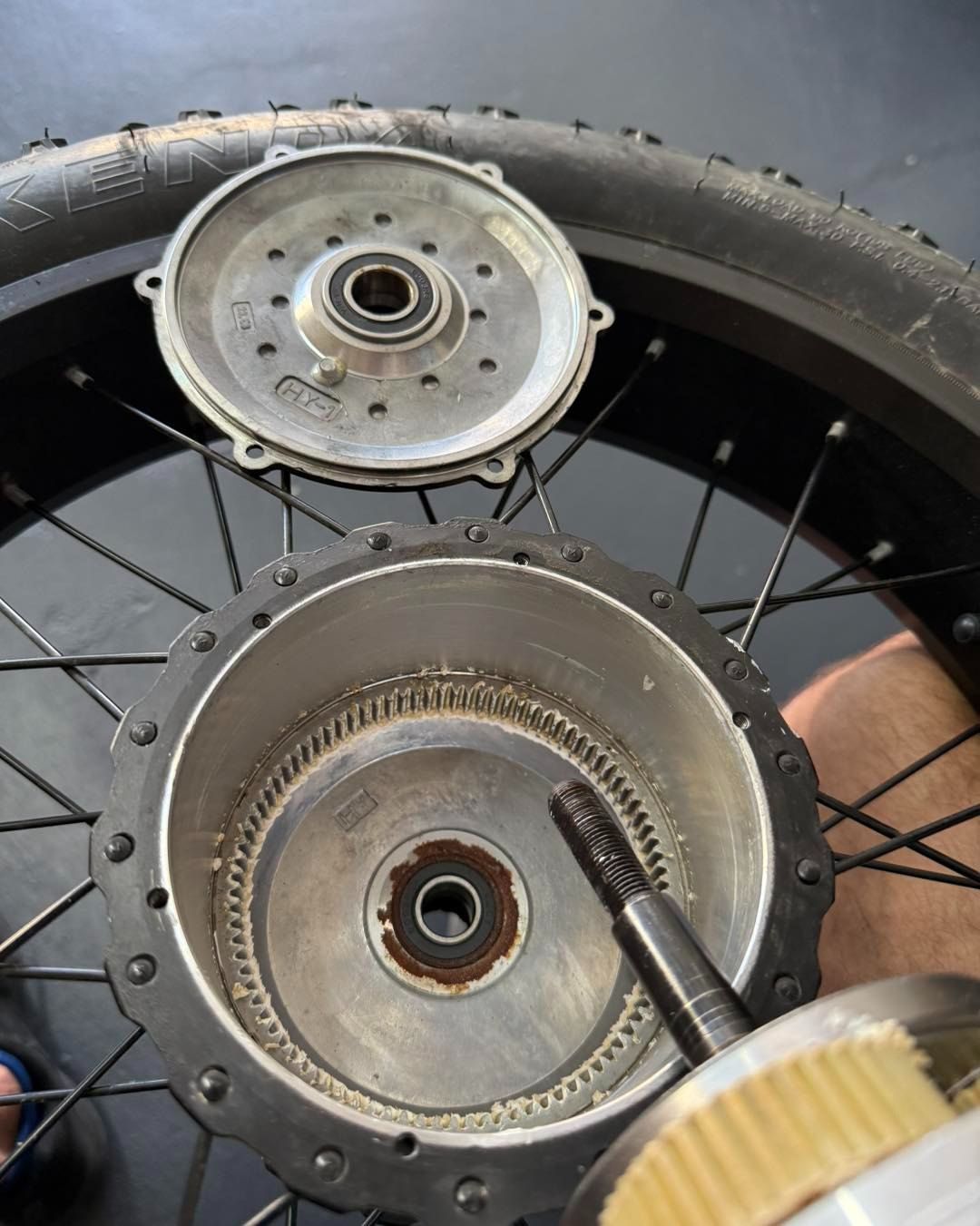 Disassembled Electric Bike Wheel, Showing Motor Components — E-Go-Try-Bikes in Nelson Bay, NSW