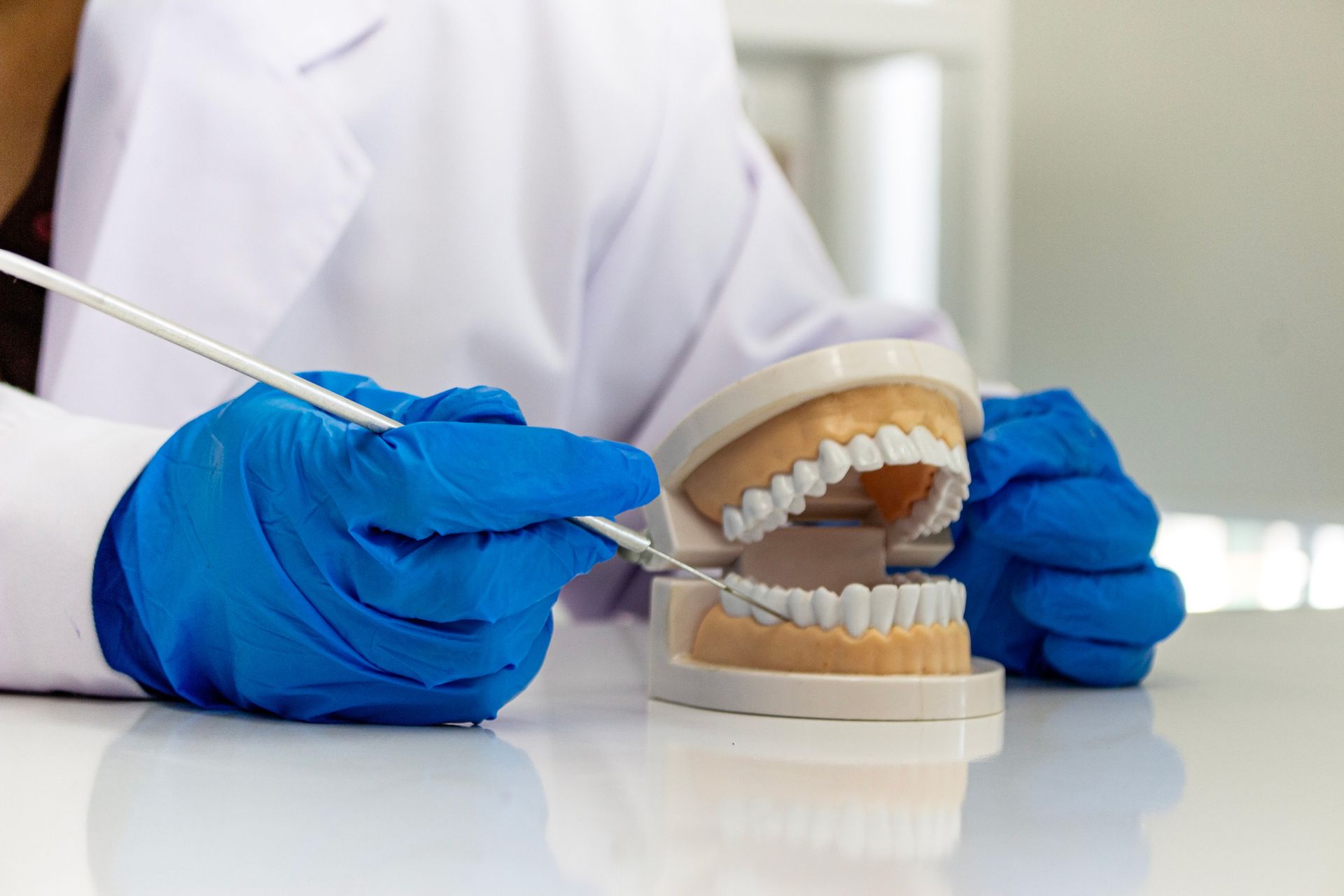 Dentist is explaining denture care using a model. Dentist is explaining denture care using a model.