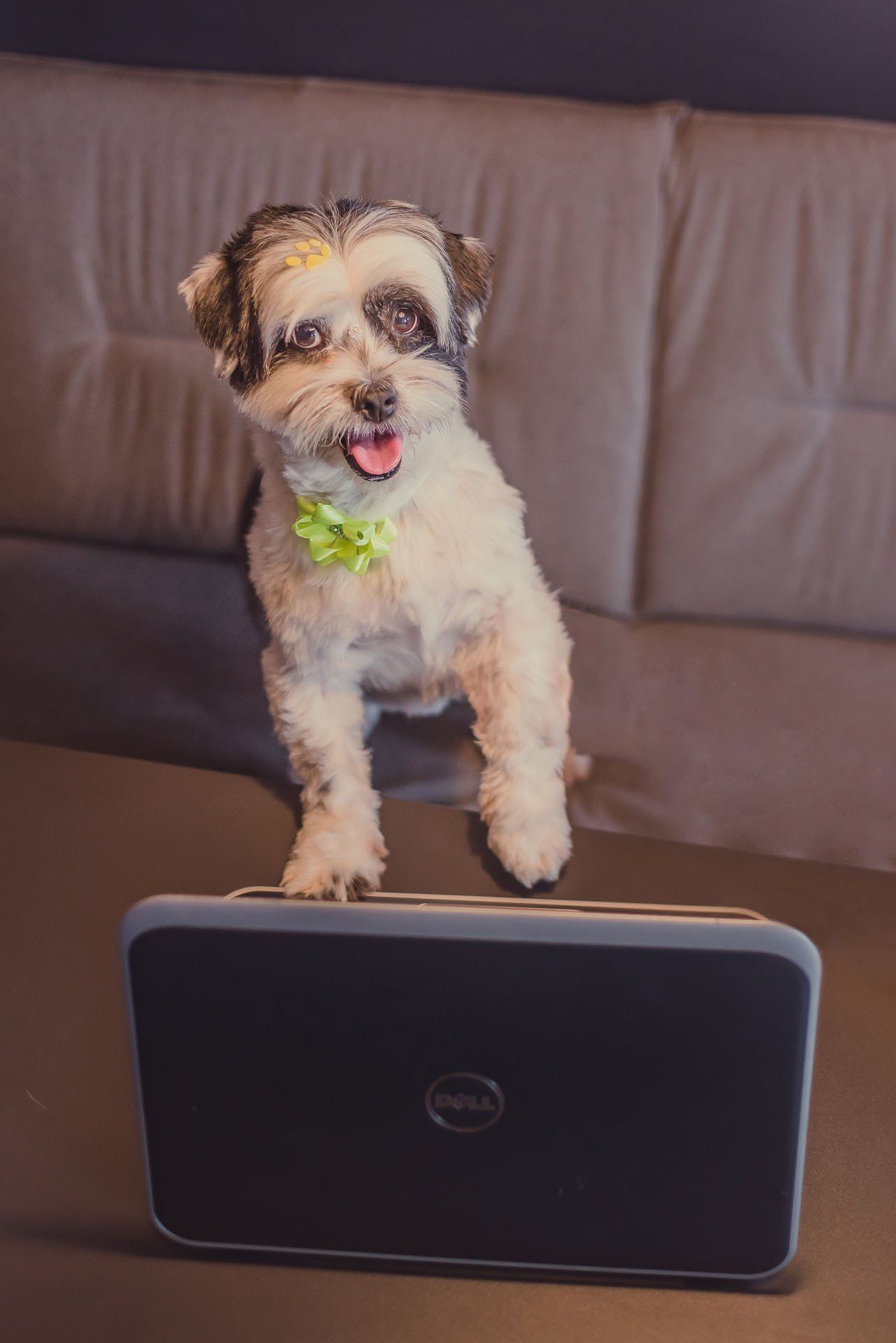 Coworking