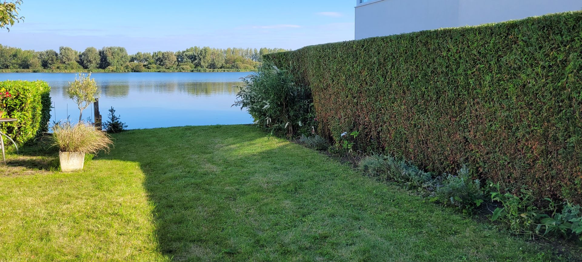 Een grasveld dat naar een meer leidt, met hagen aan de rechterkant en een potplant vlakbij het water.