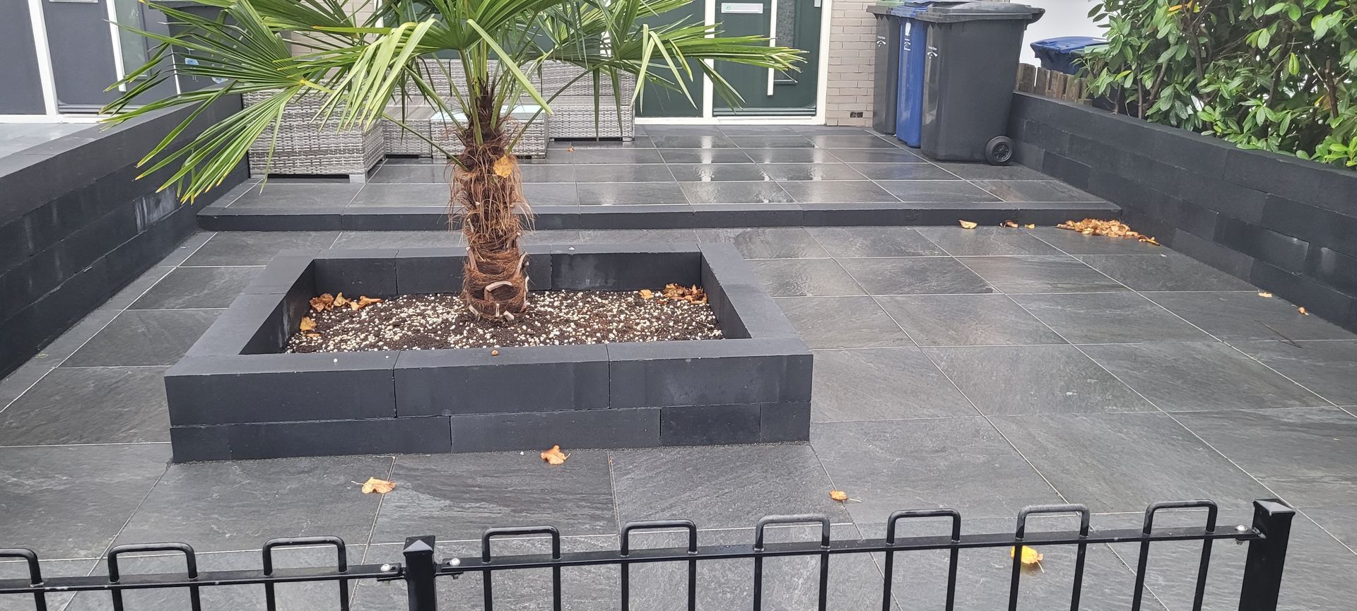 Betonnen binnenplaats met een palmboom in een vierkante plantenbak en een zwart metalen hekwerk ervoor.