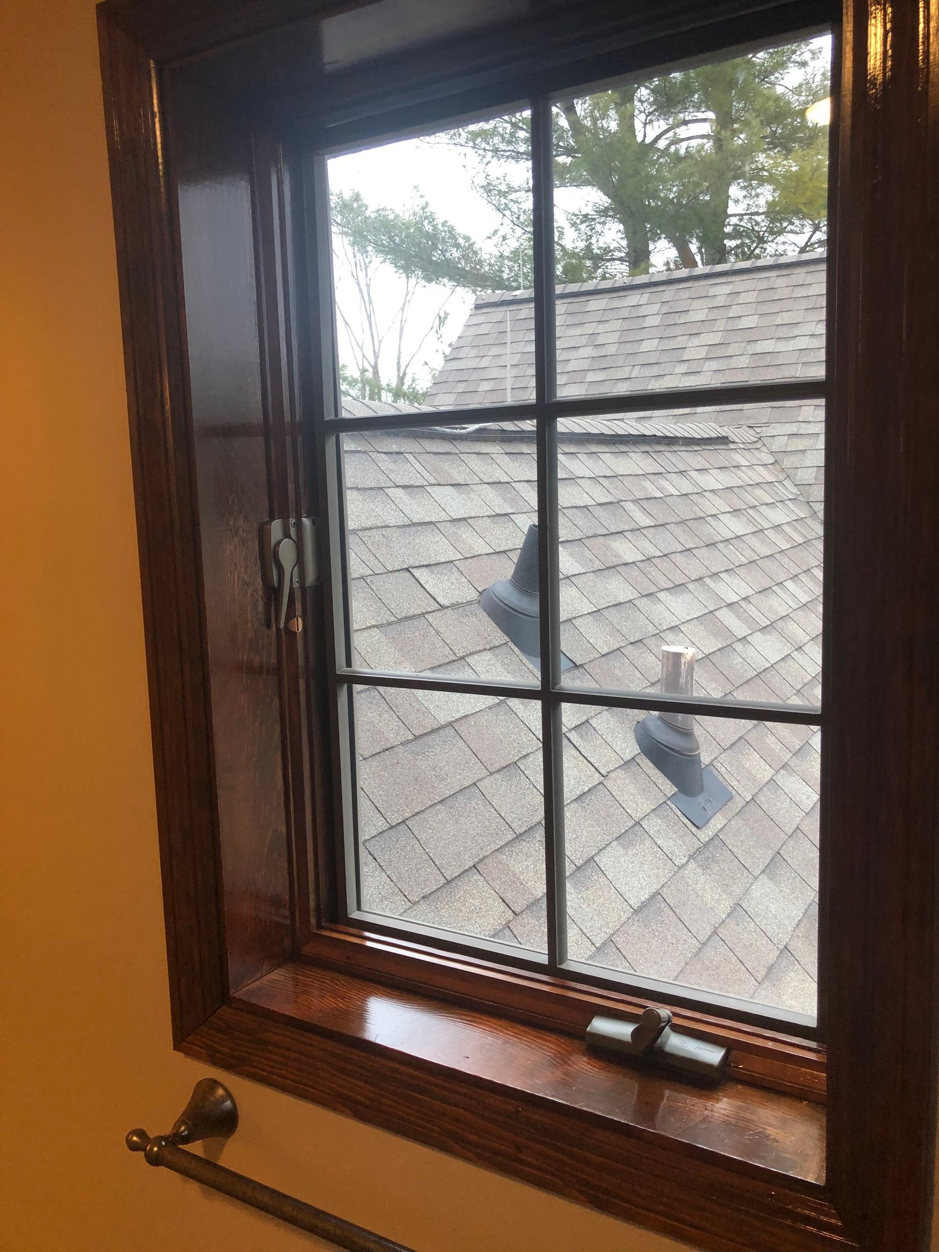 Window with dark wood trim and a view of a shingled roof and trees outside