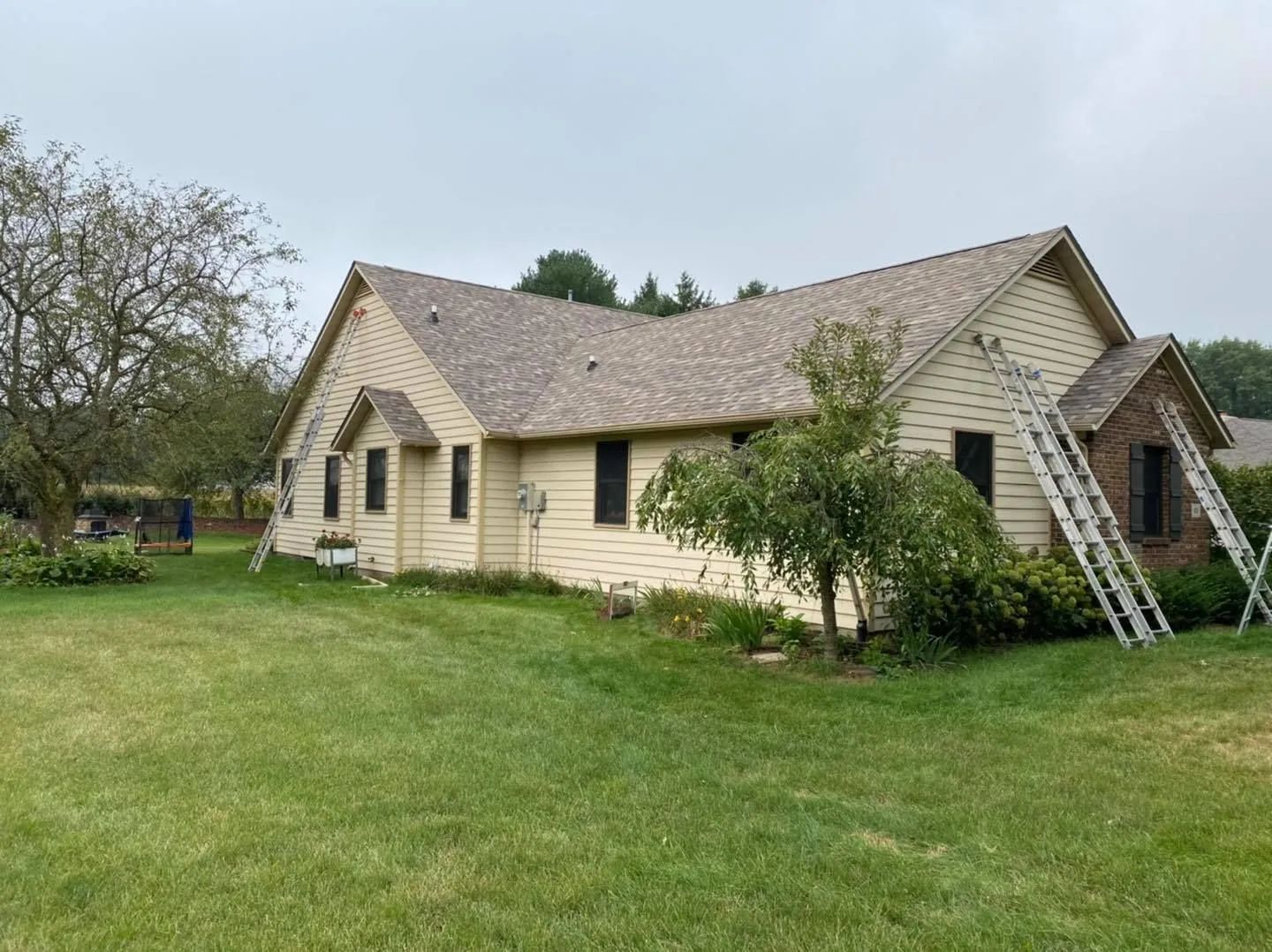 Small beige house with a sloped roof and ladder leaning against it, surrounded by a grassy yard and trees.
