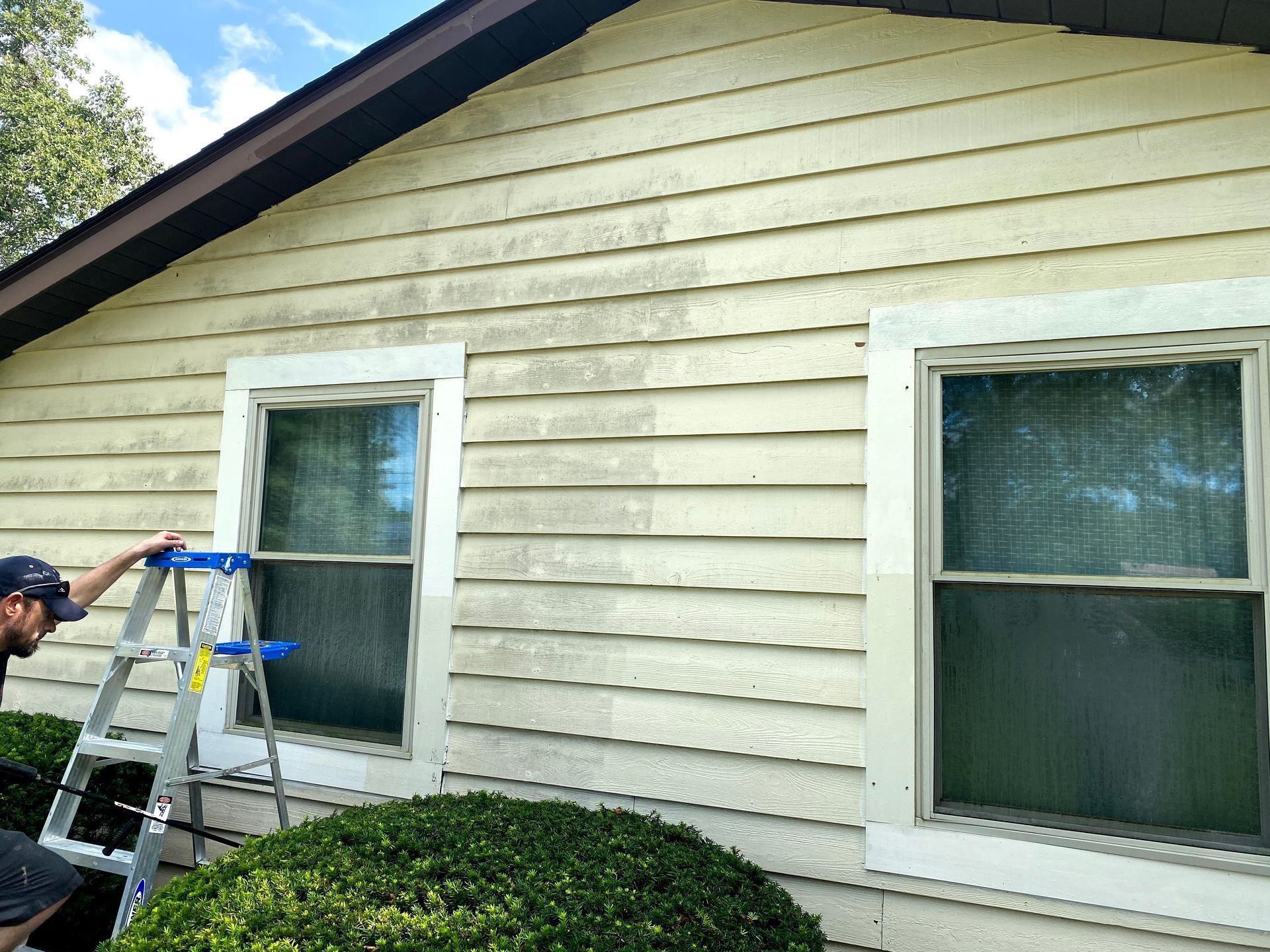 Person on a ladder painting a beige house exterior with white-trimmed windows