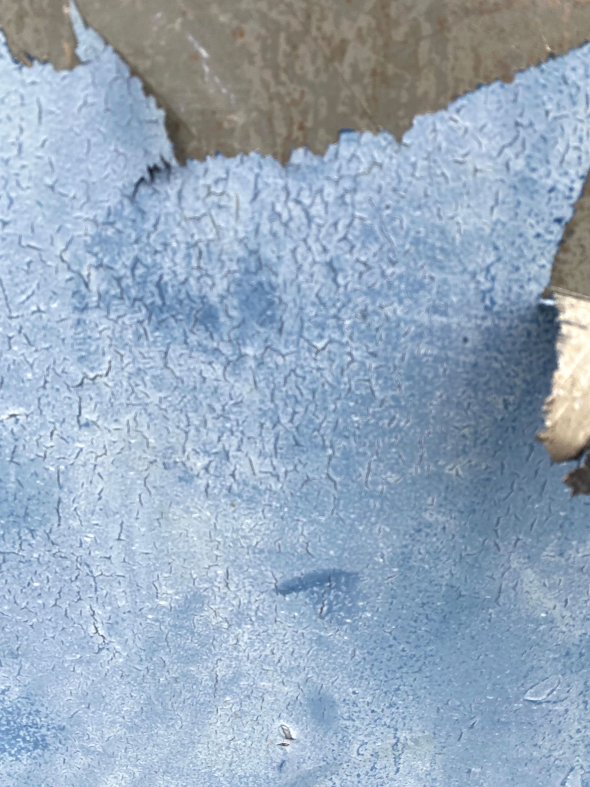 Close-up of peeling light blue paint on a rough wall with a small patch of exposed beige material.