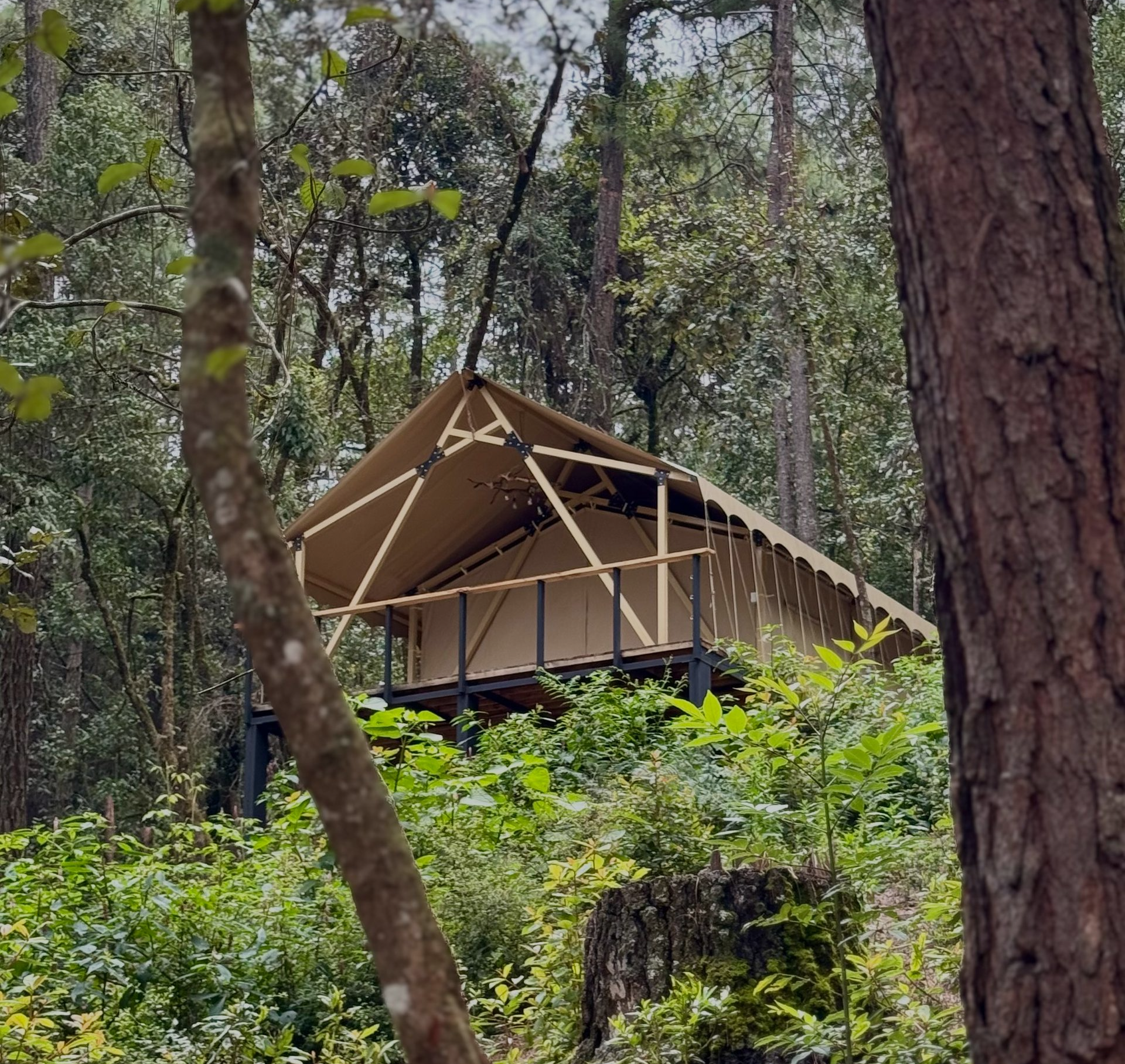 glamping cerca de cdmx