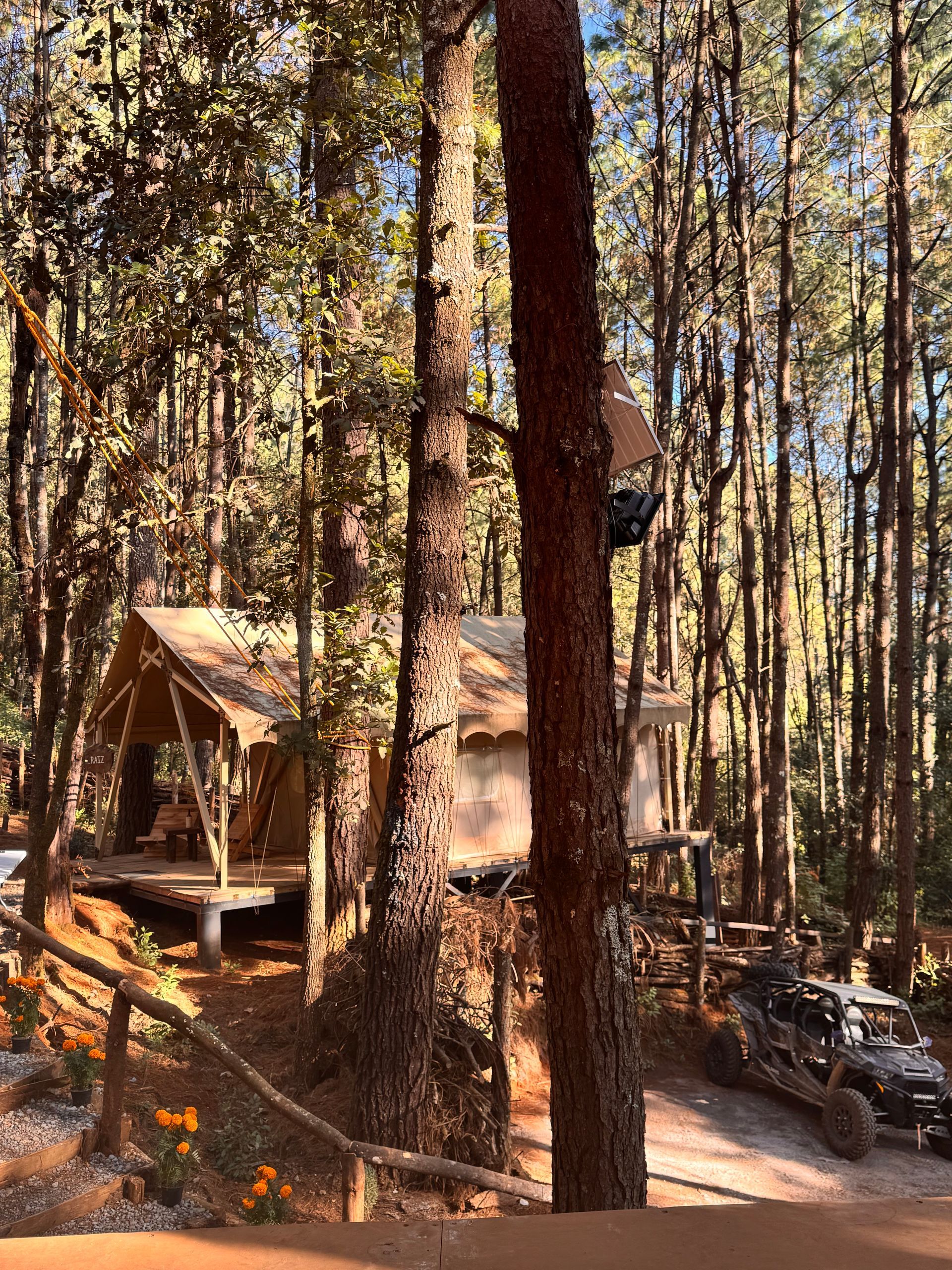 bosque de avandaro en valle de bravo