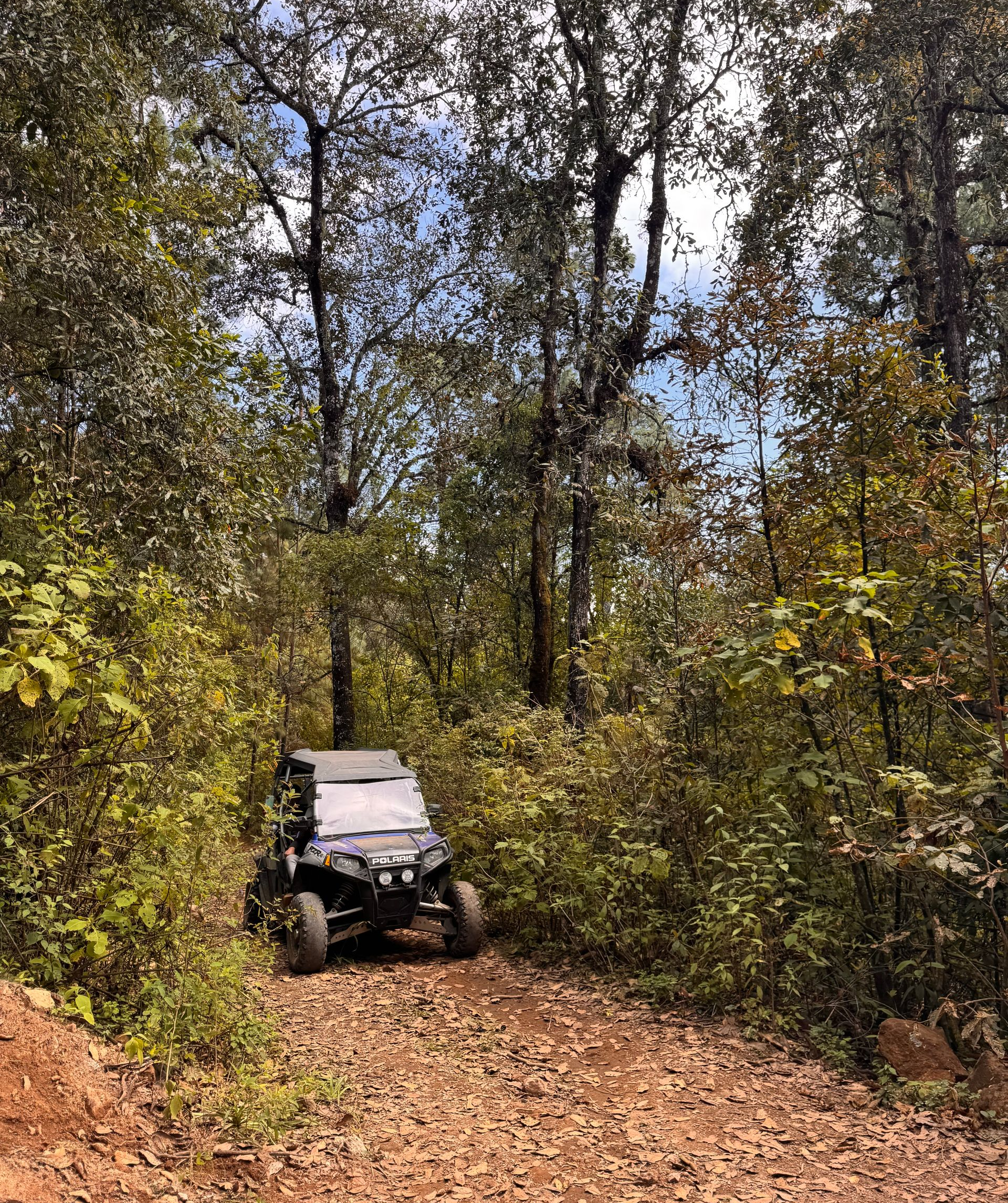 Vehículo todo terreno lado a lado en un sendero de tierra rodeado de árboles con follaje otoñal.