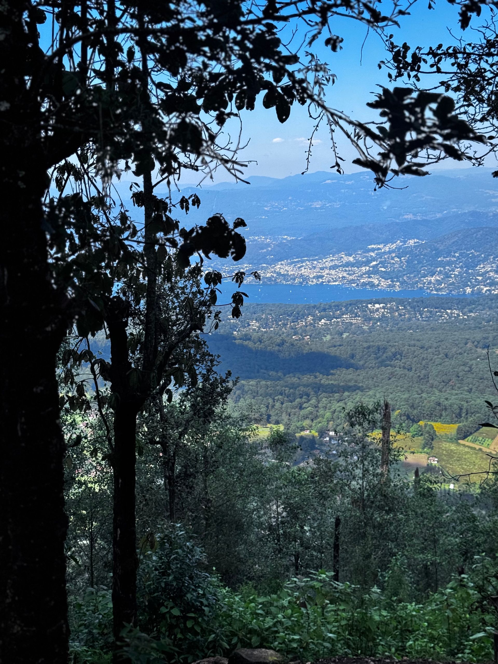 Vista desde un claro del bosque con vistas a una ciudad junto a un lago, entre siluetas de árboles. Cielo azul.