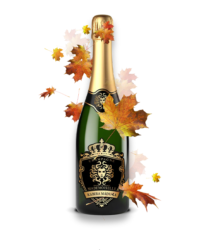 BRUT TRADITION CHAMPAGNE