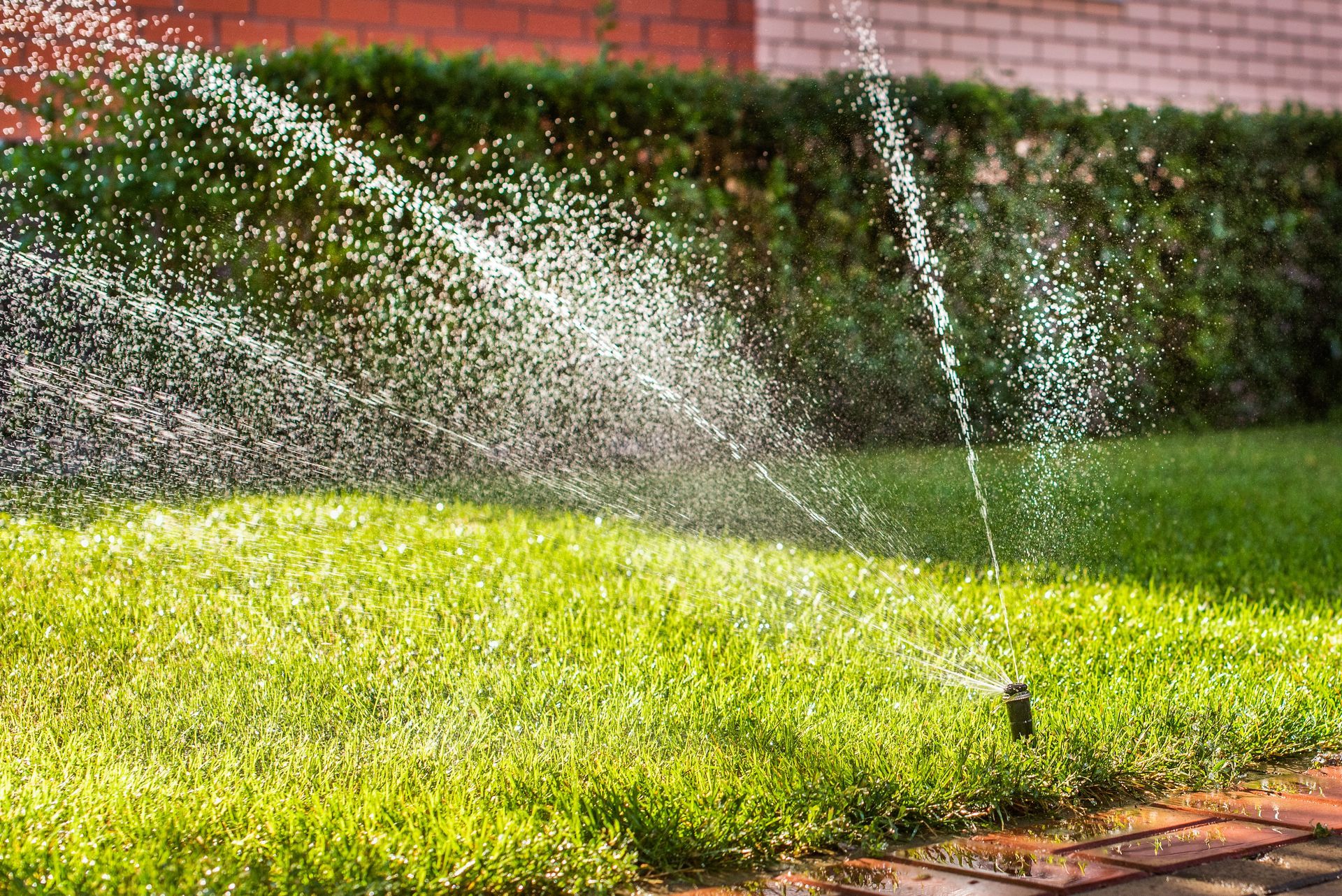 A lawn sprinkler sprays water over a patch of green grass in a garden with a brick wall in the background.