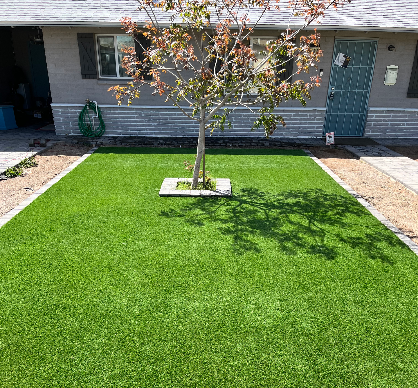 A lawn with a tree in the middle of it in front of a house.
