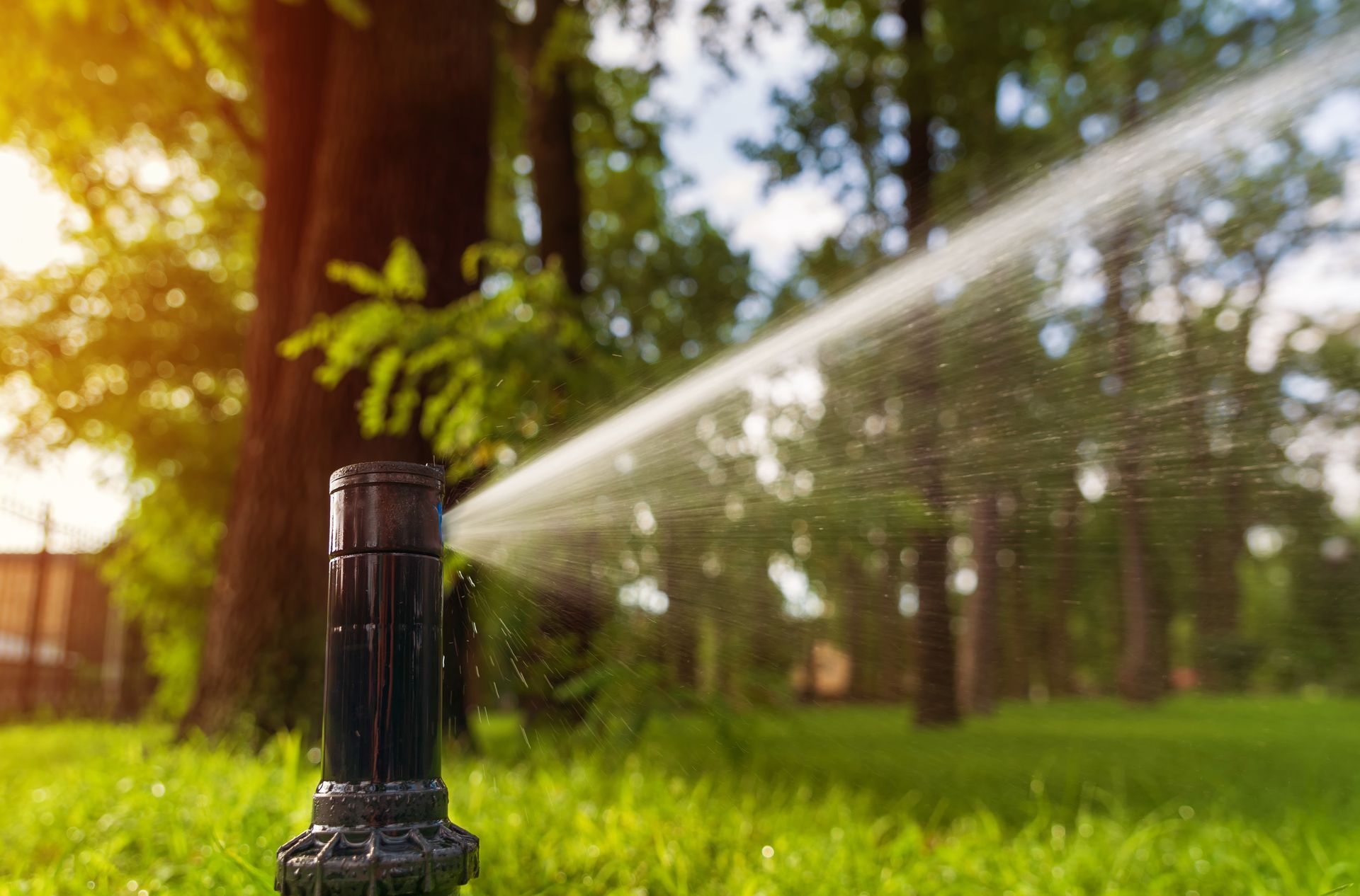 A sprinkler is spraying water on a lush green lawn.