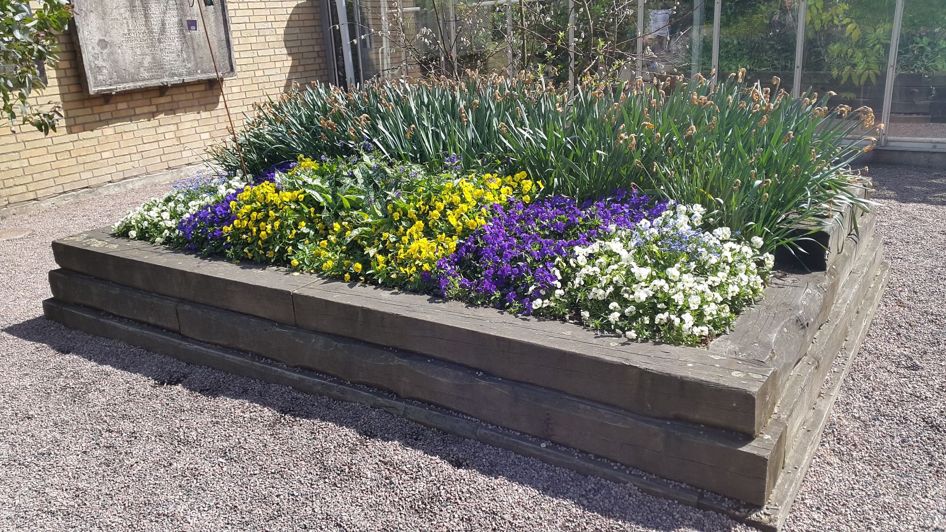 A garden with purple flowers and green trash cans