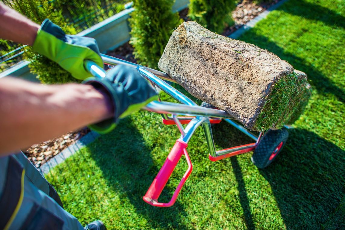 A man is pushing a wheelbarrow with a roll of grass on it.