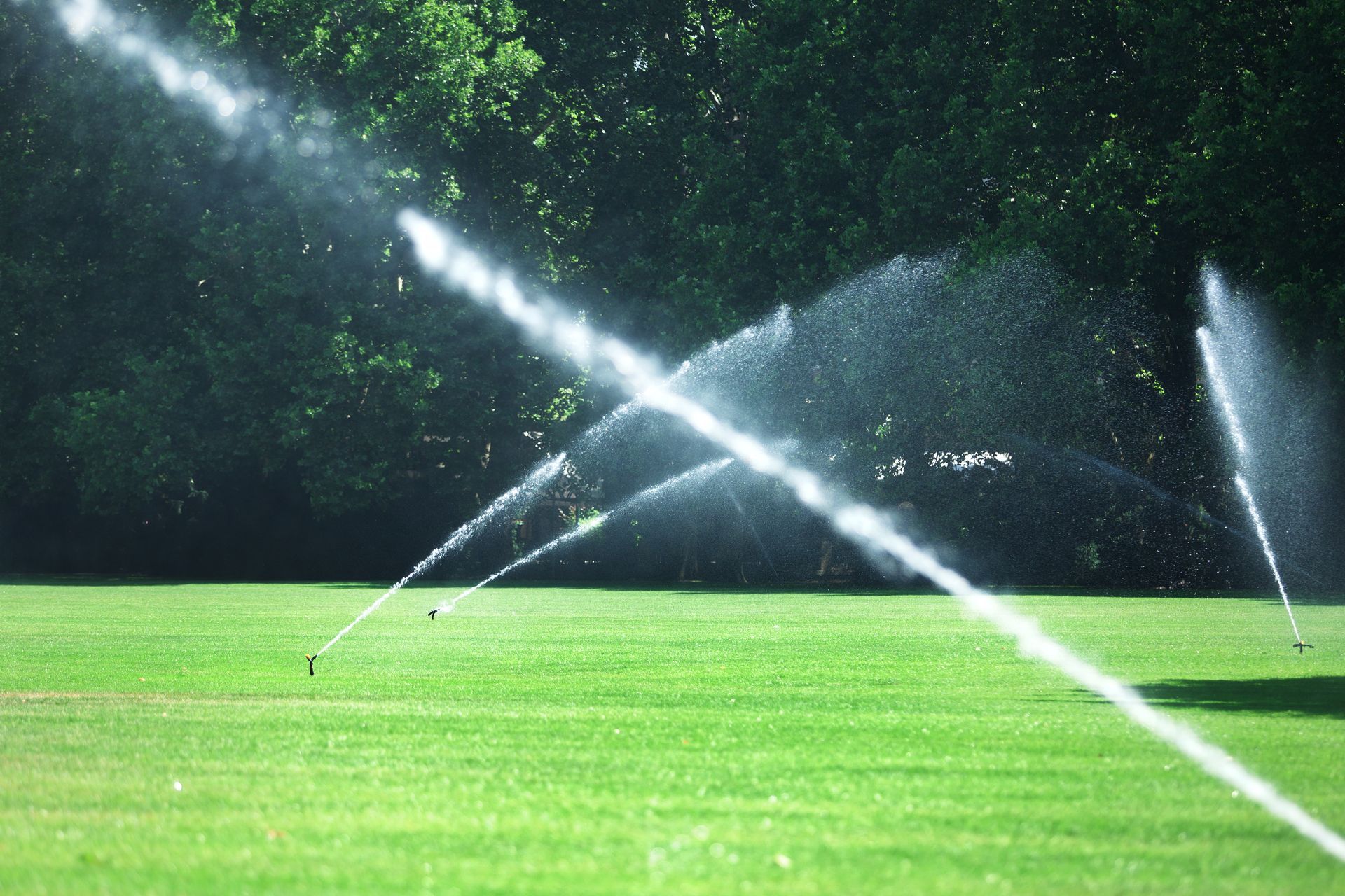 Several sprinklers spray water on a lush green field