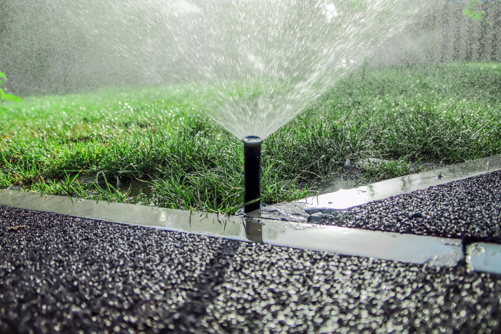 A sprinkler is spraying water on a lush green lawn.