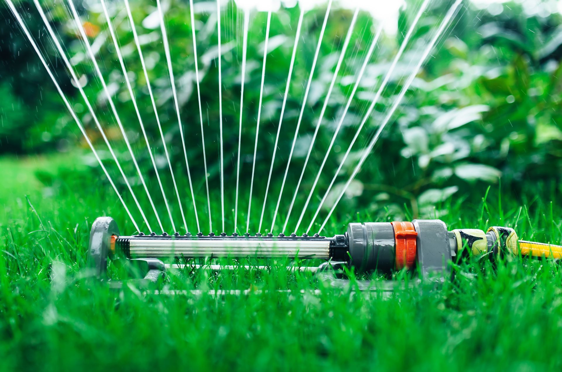 A lawn sprinkler is spraying water on a lush green lawn.