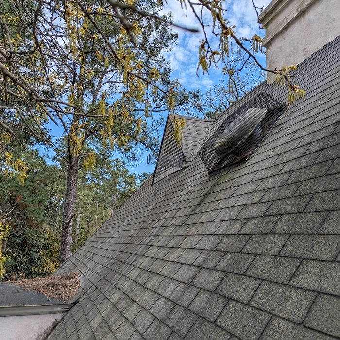 Gray shingle roof with a vent, chimney, and tree branches against a cloudy sky.