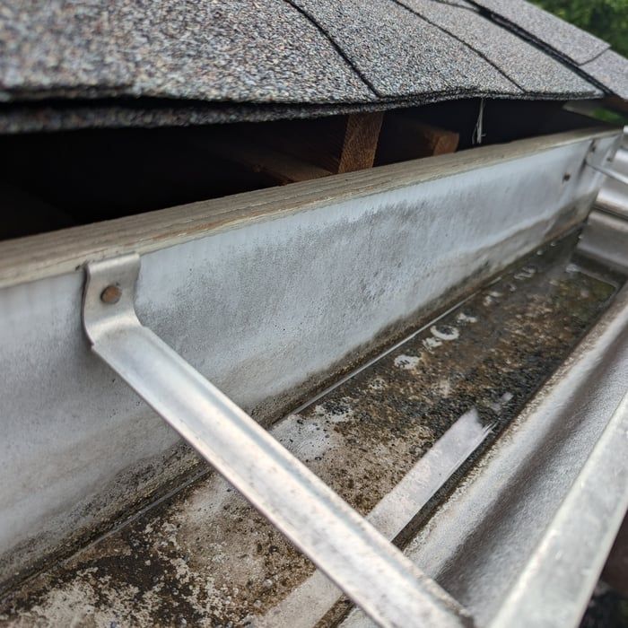 Close-up of a dirty gutter with debris; roof shingles and gutter supports are visible.