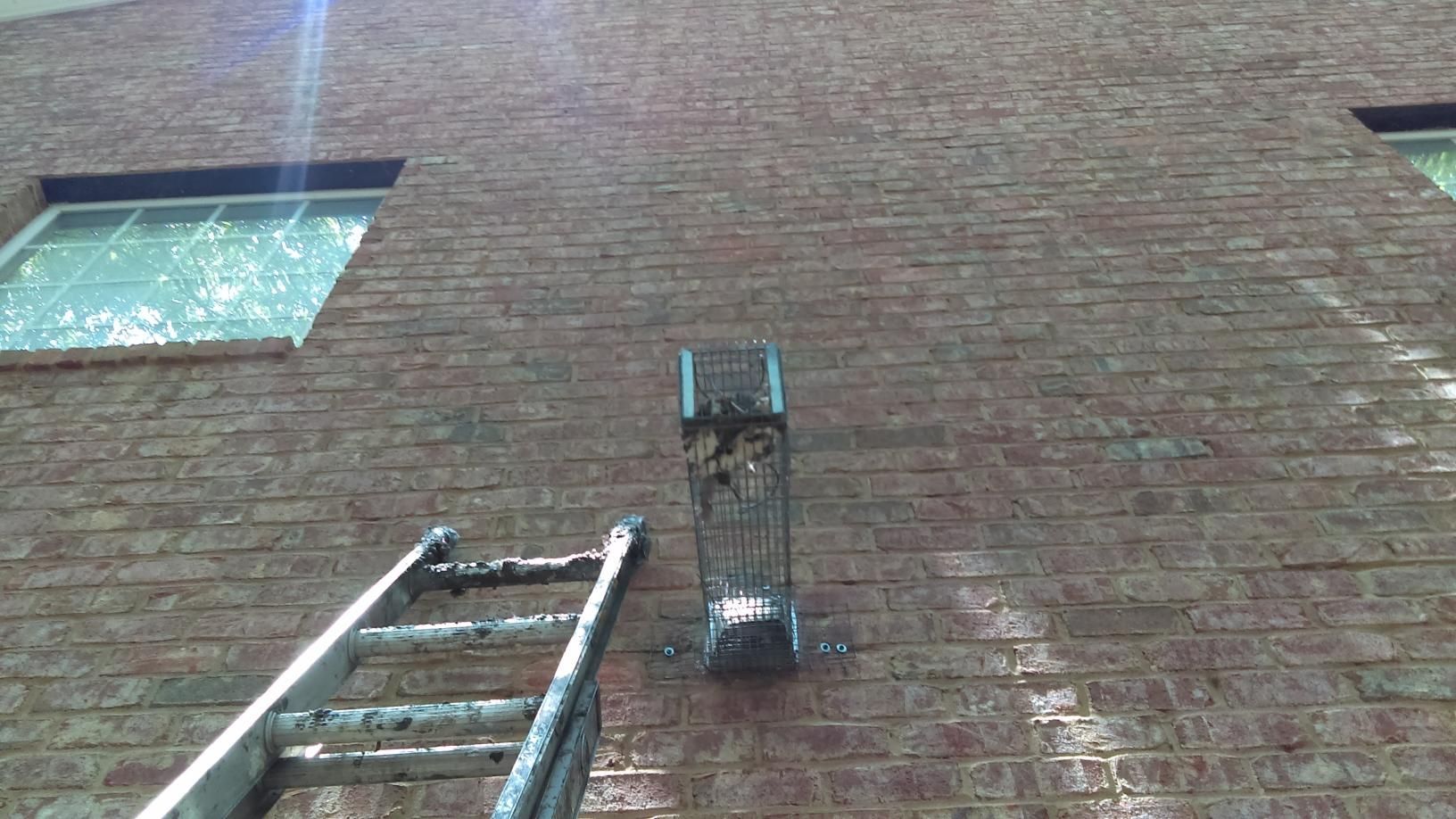 Brick building wall with ladder reaching a small window and a mounted light fixture
