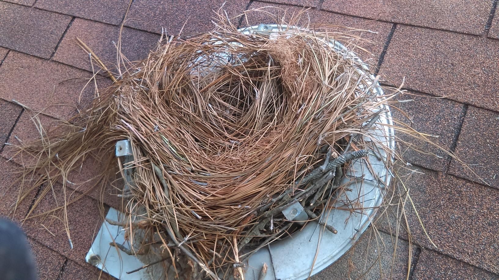 A nest of twigs and wire on a gray rooftop vent