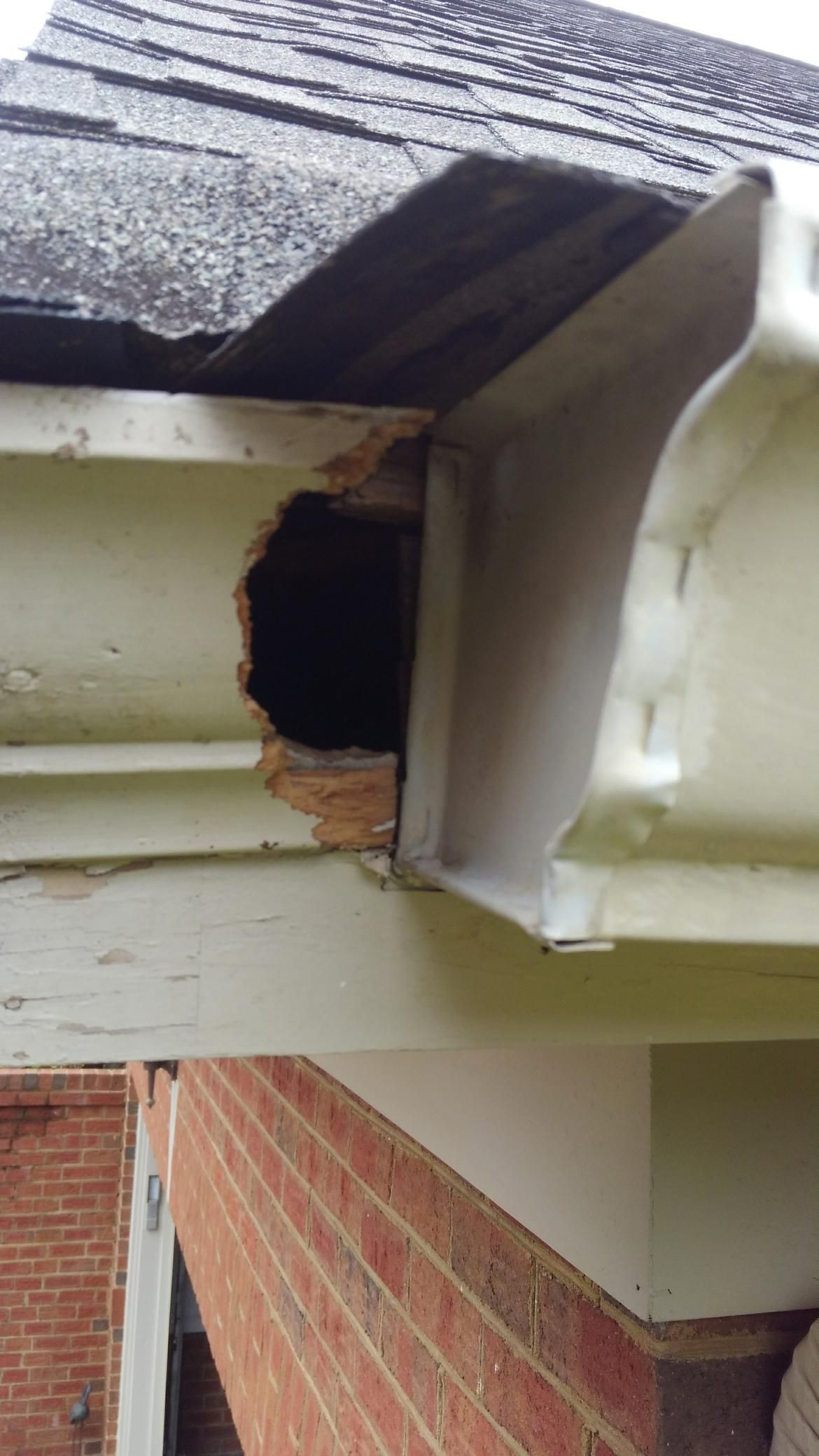 Damaged roof gutter and soffit with exposed wood and a hole under the eaves of a brick house