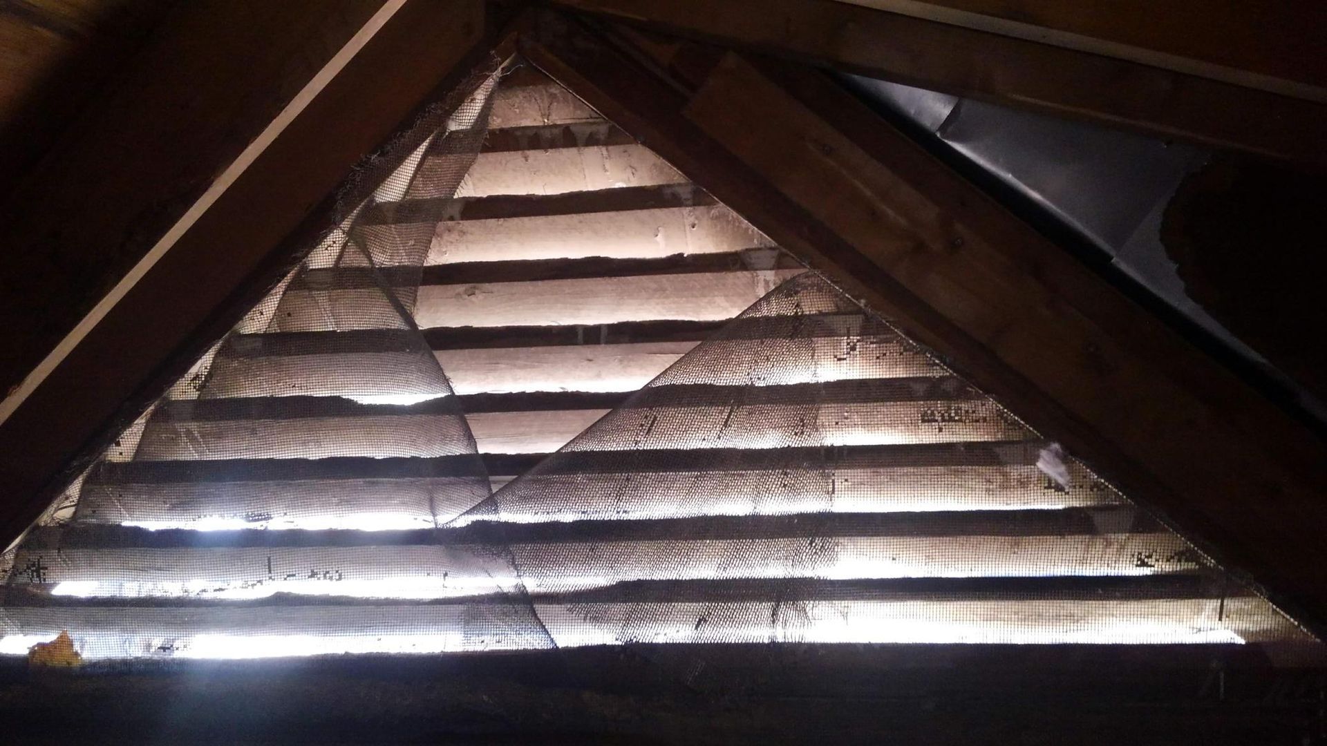 Wooden attic vents with slats letting bright sunlight through