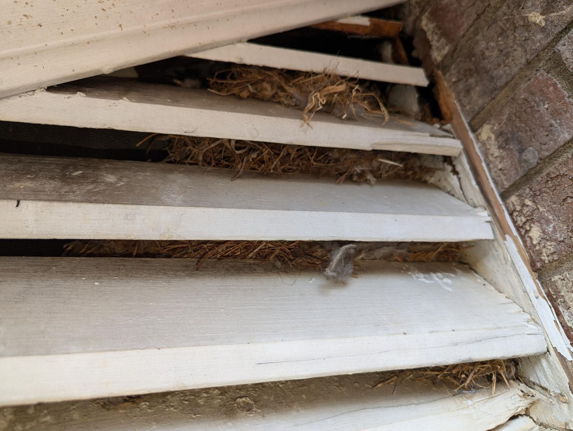 Dirty white vent slats with debris and spiderwebs in a corner