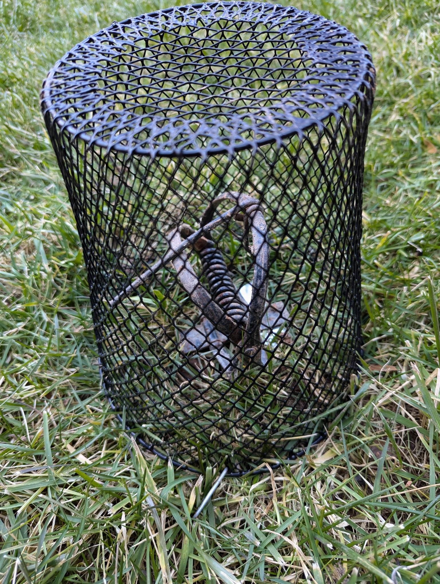 Black wire trash can on grass with a small snake inside