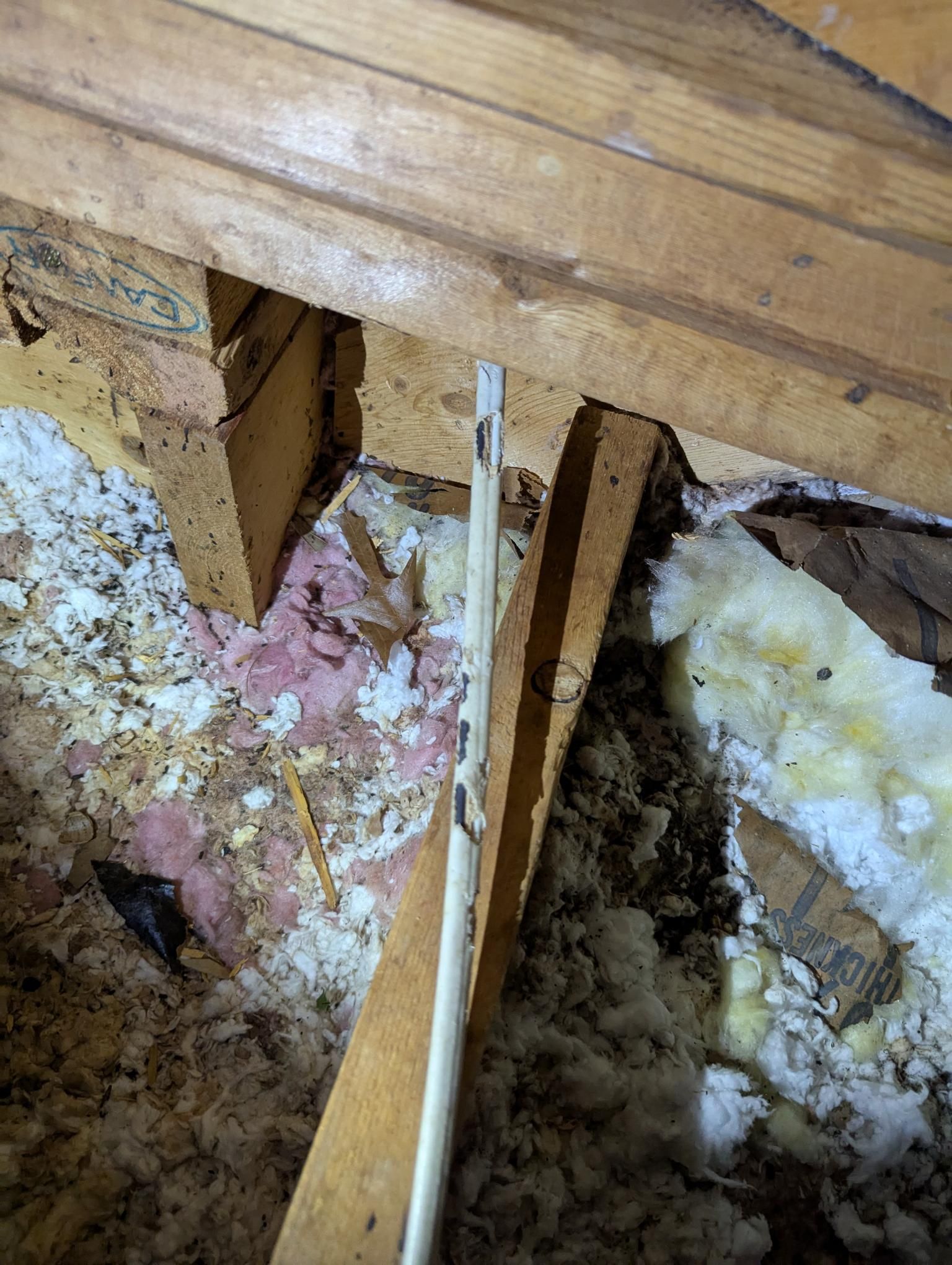 Damaged floor beside exposed insulation and wooden joists under a wall opening
