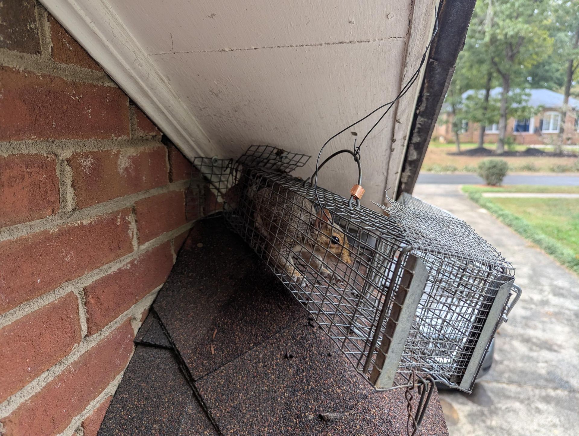 Wire cage and debris wedged under a brick house eave near the roofline.
