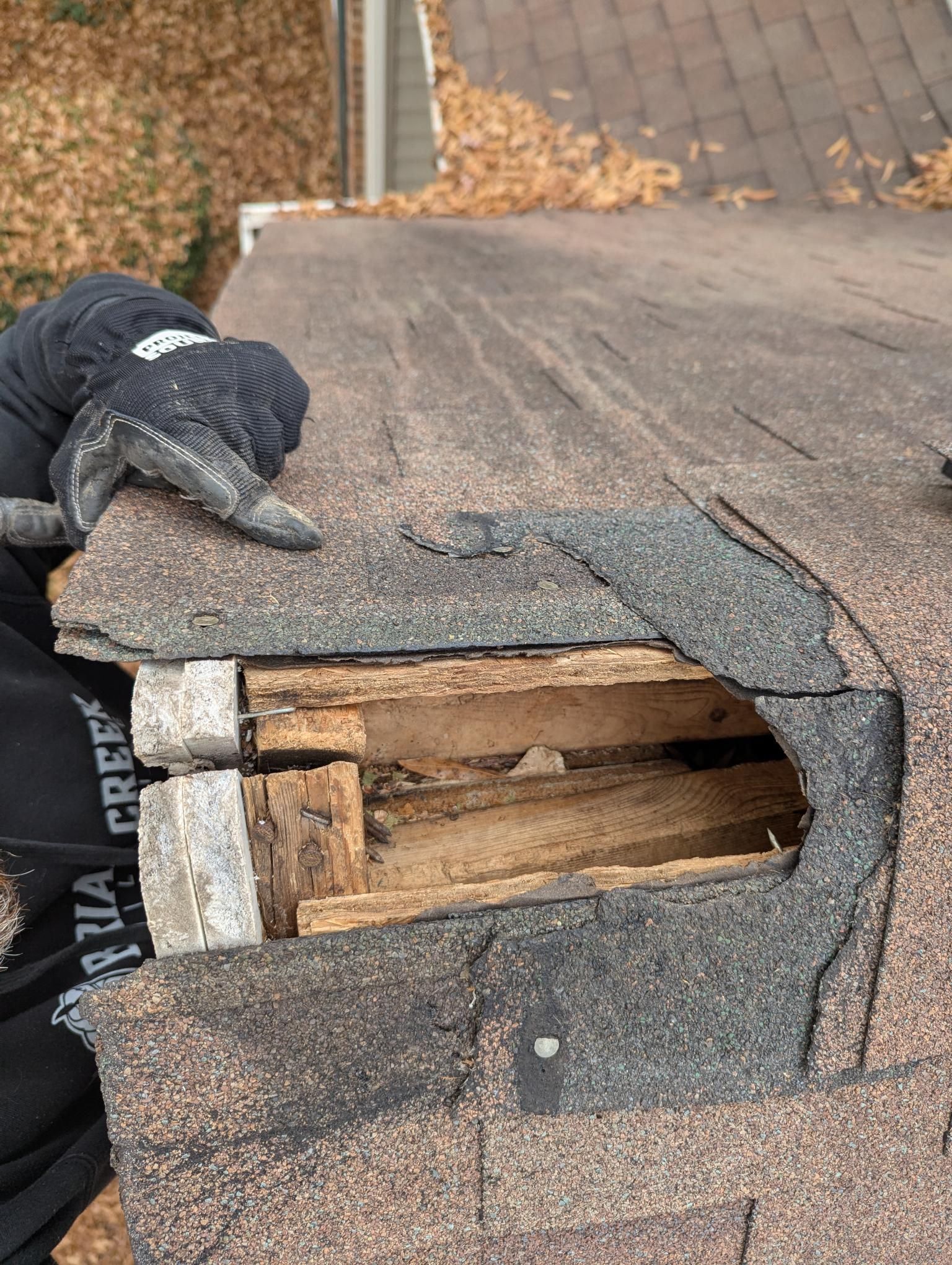 Gloved worker lifting damaged asphalt shingles to reveal roof deck damage and an exposed hole