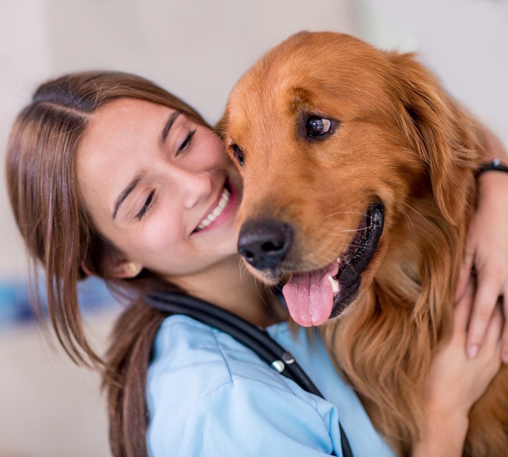 Woman And A Happy Dog — Freeland, MI, — Windy Acres Kennels
