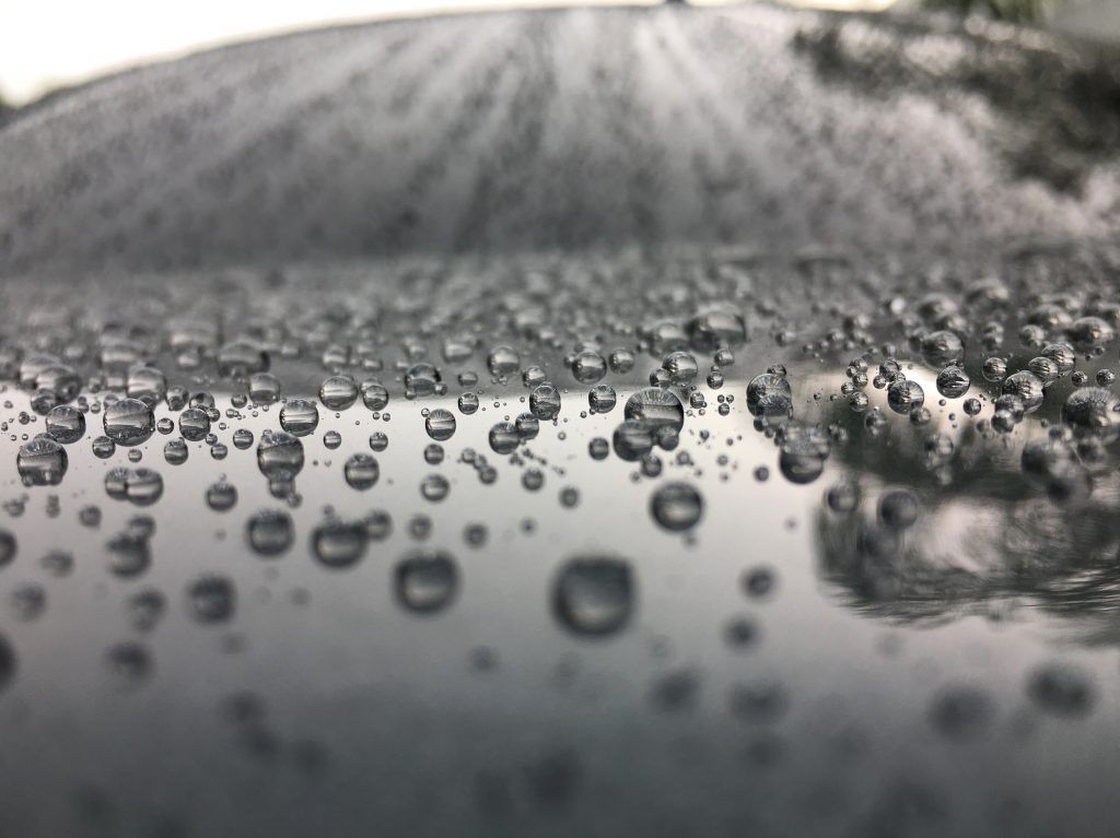 Paint Protection