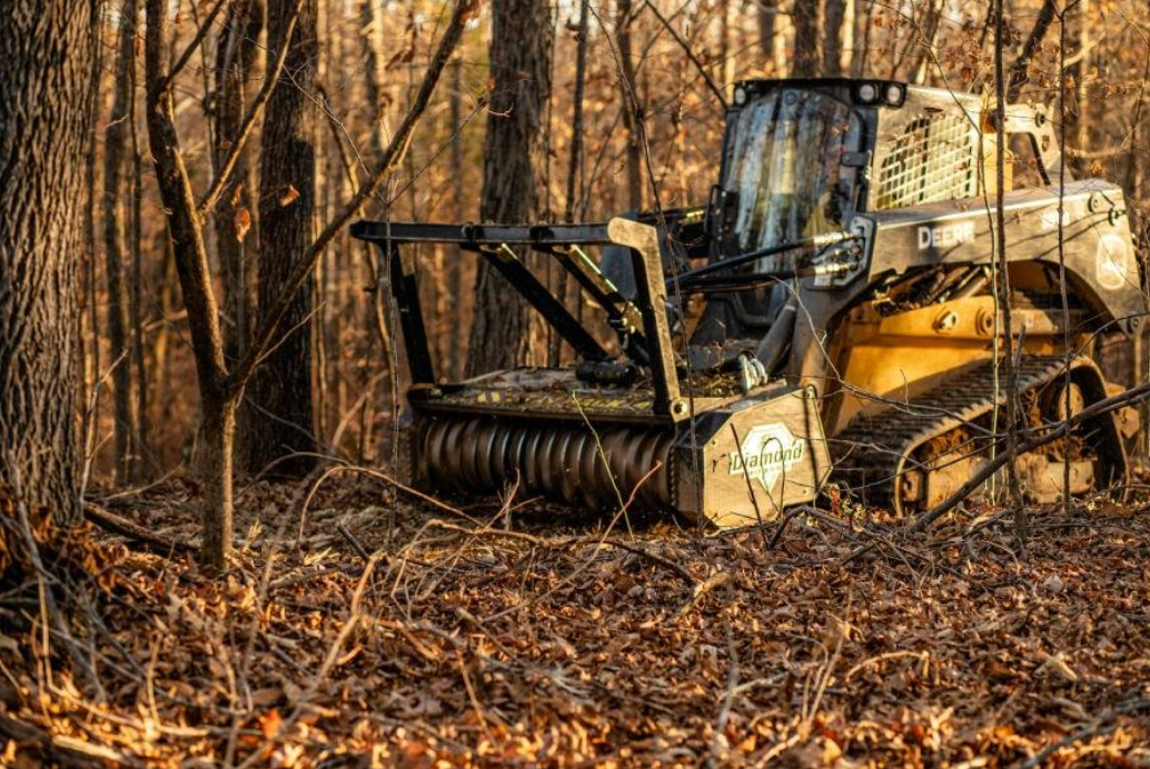 land clearing for a new fence installation