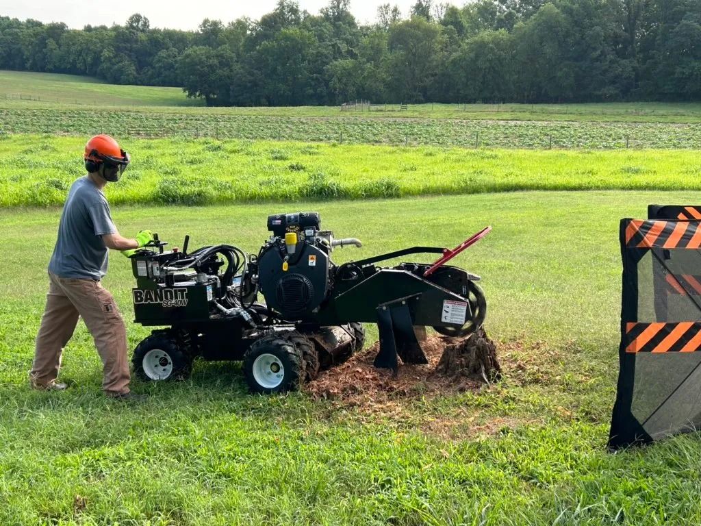 land clearing