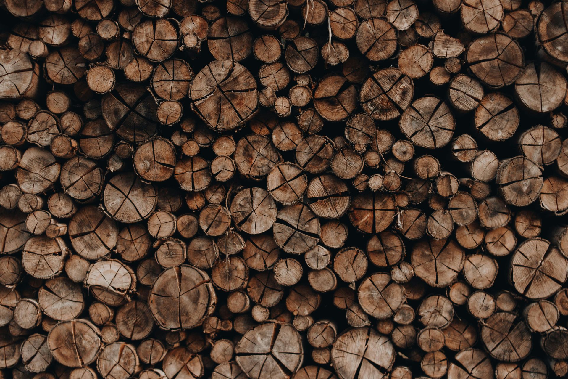 Trees cut and stacked
