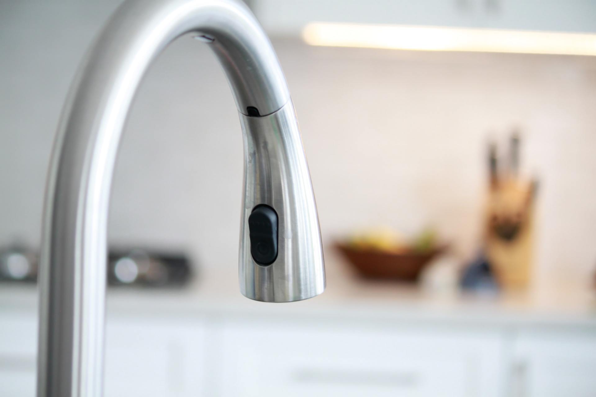 Picture of kitchen faucet with filtration system.