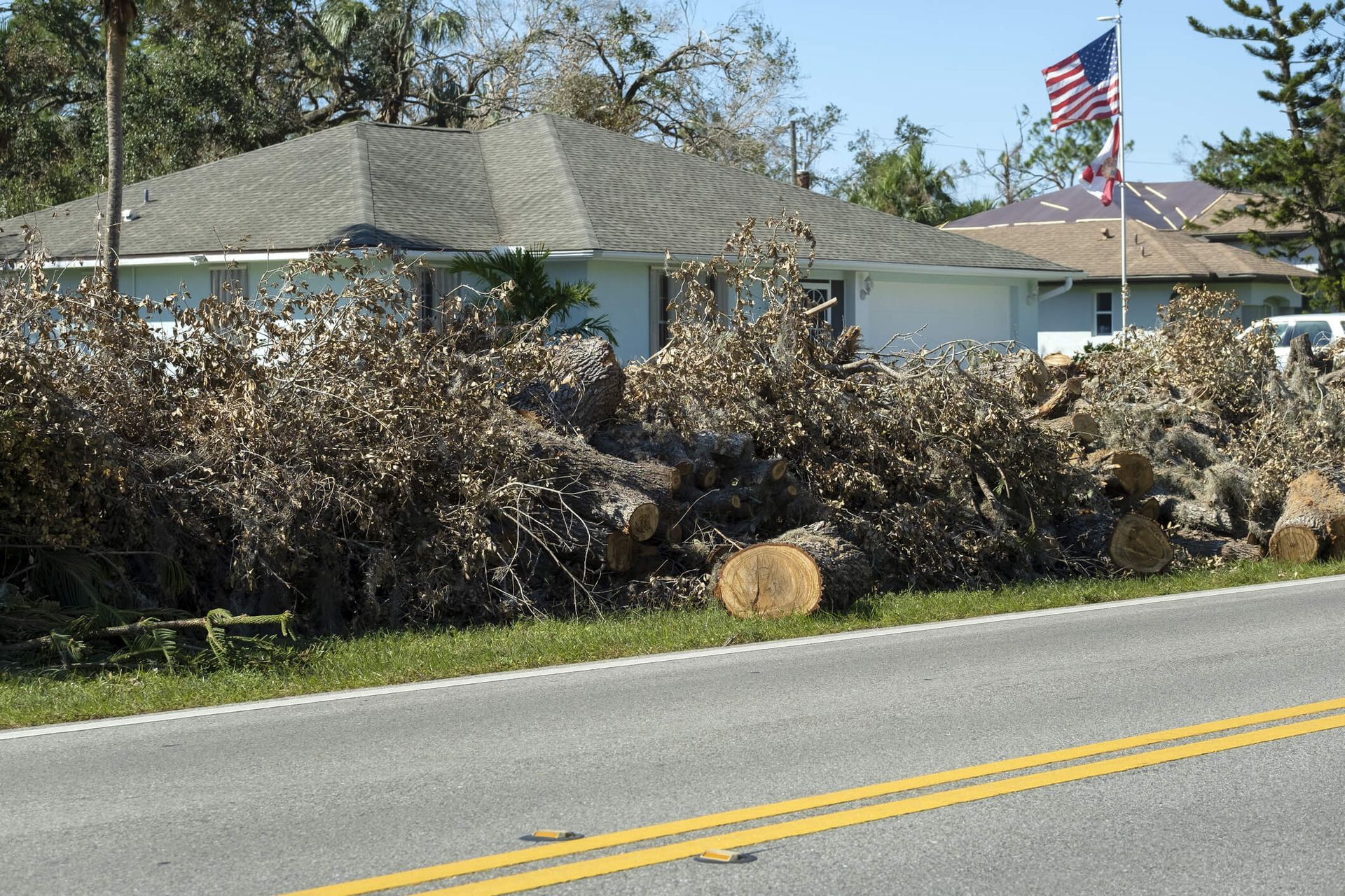 SYS Enterprises inspecting a tree in Charlestown, Indiana, to evaluate its condition and identify potential hazards or maintenance needs.