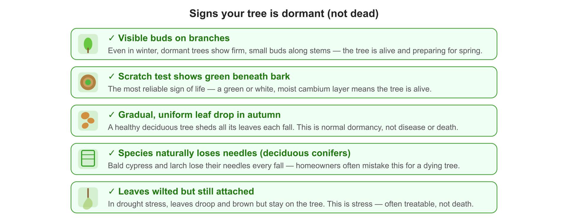 Signs your tree is dormant