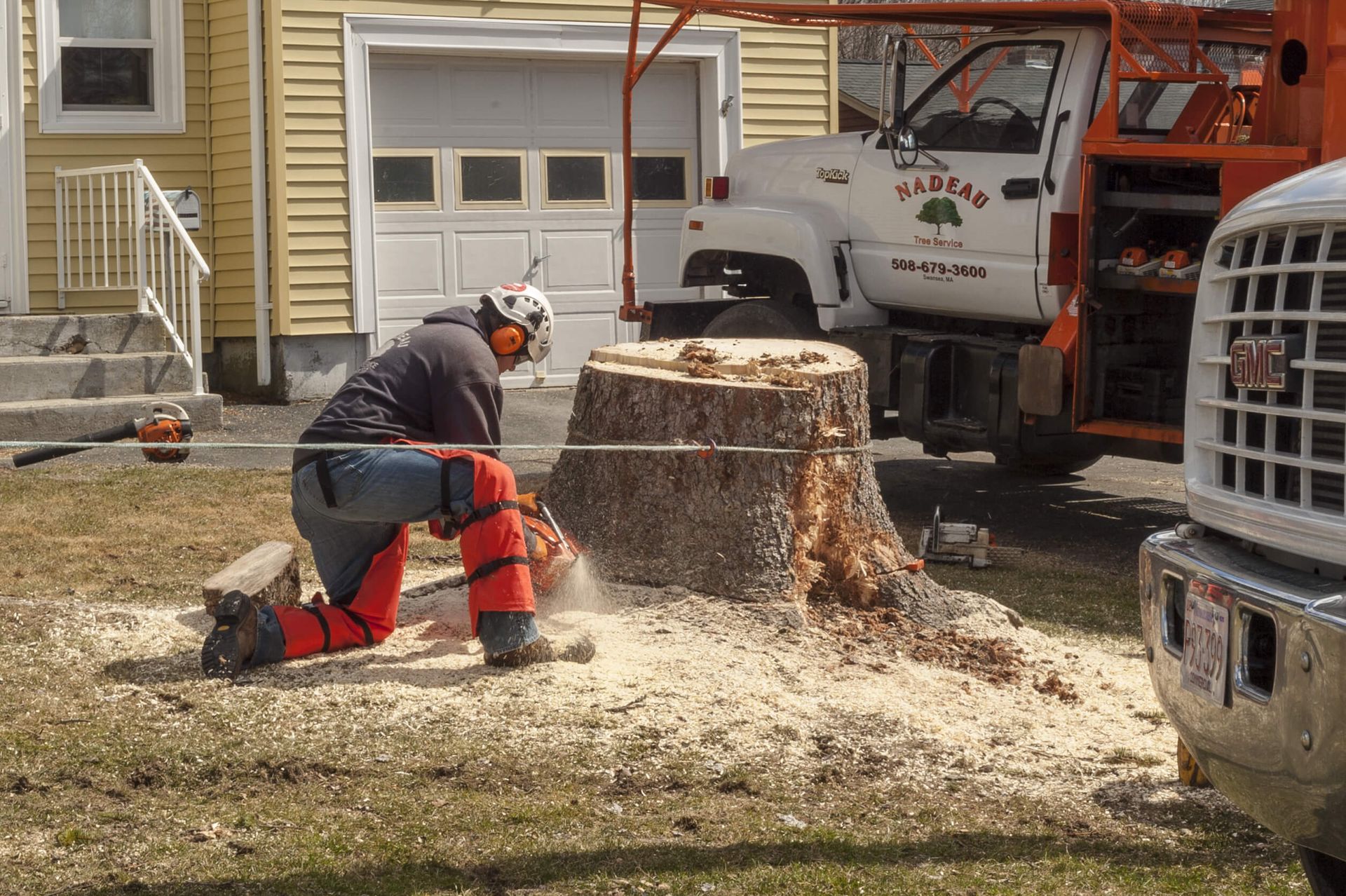SYS Enterprises demonstrating planting techniques in Charlestown, Indiana, following stump grinding and tree removal, focusing on soil conditioning and proper planting depth.