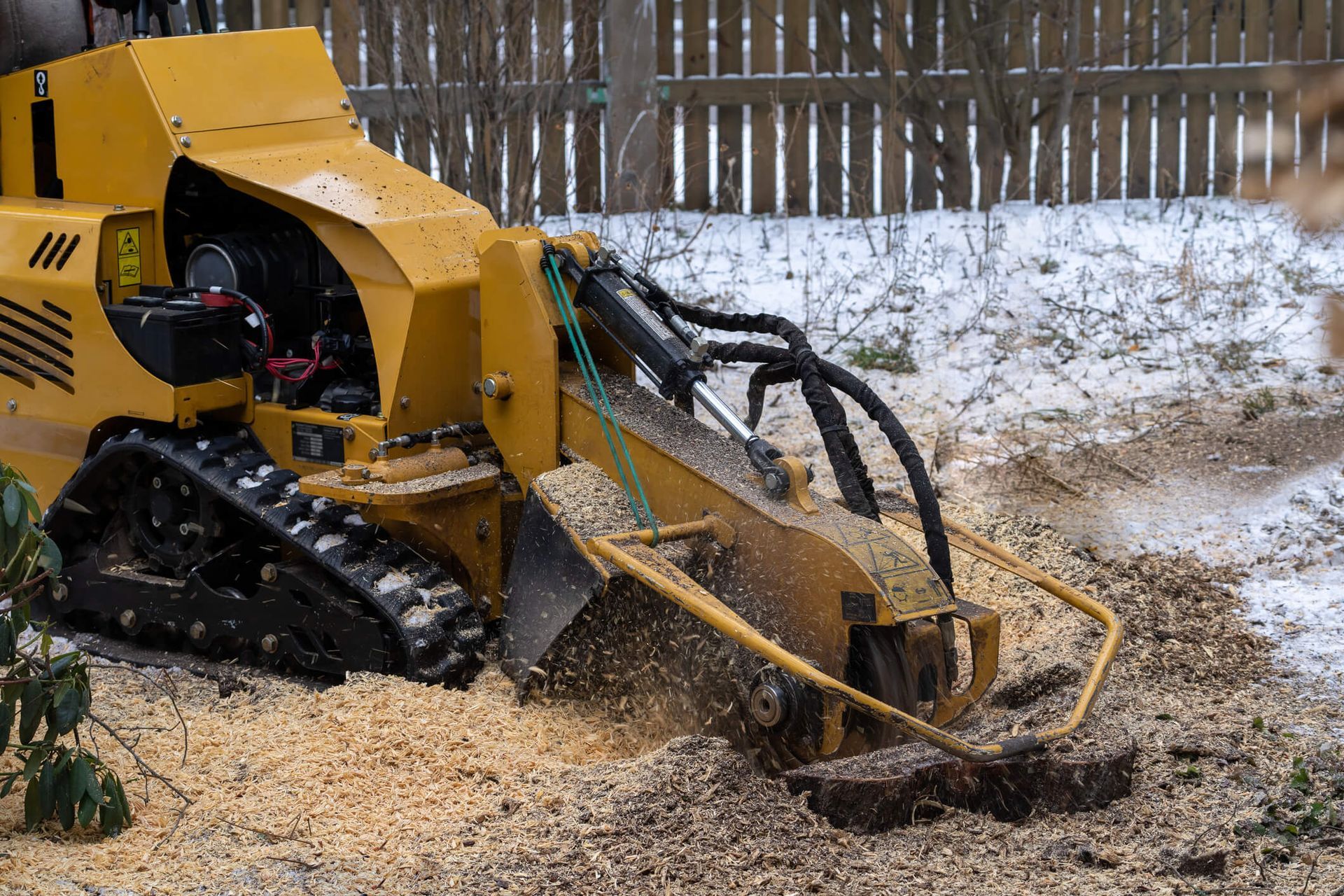 What Affects Stump Grinding Costs in Southern Indiana?