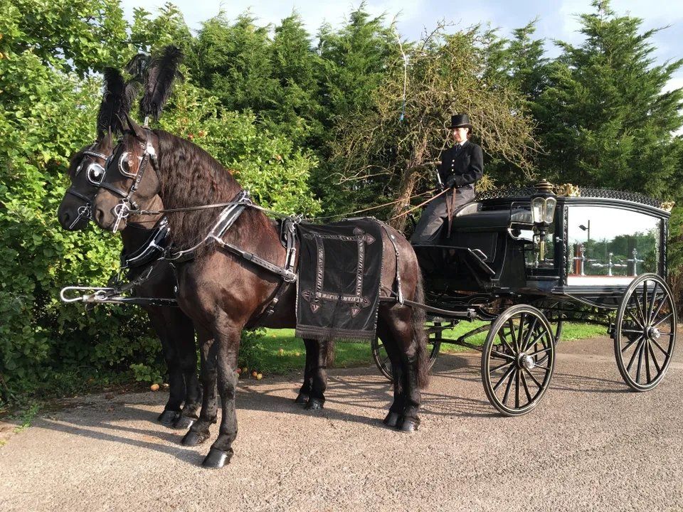 Tradiontal Horse Drawn Funeral Carriage