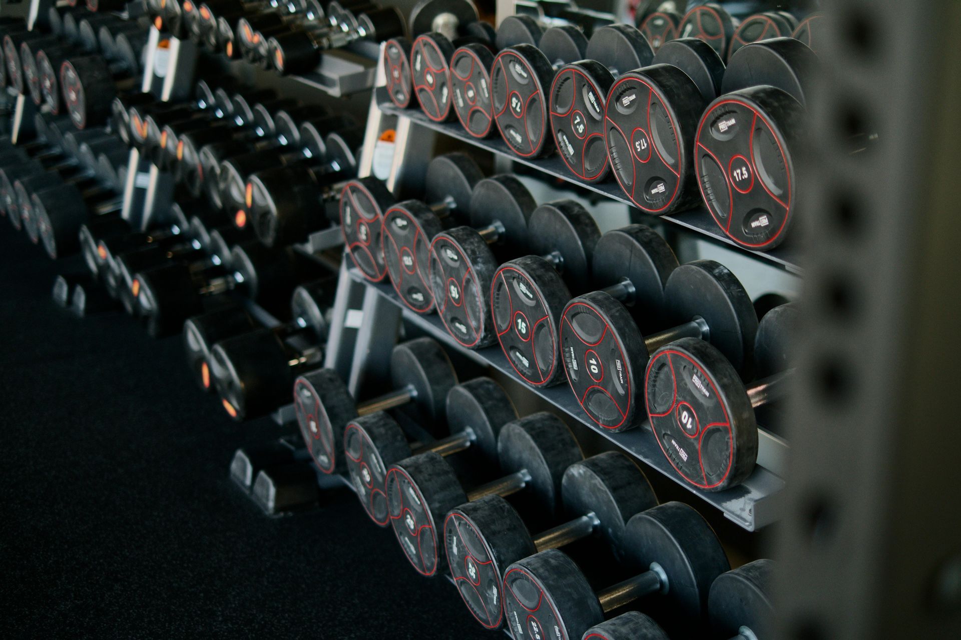 Gym, trainer, fitness, online coaching