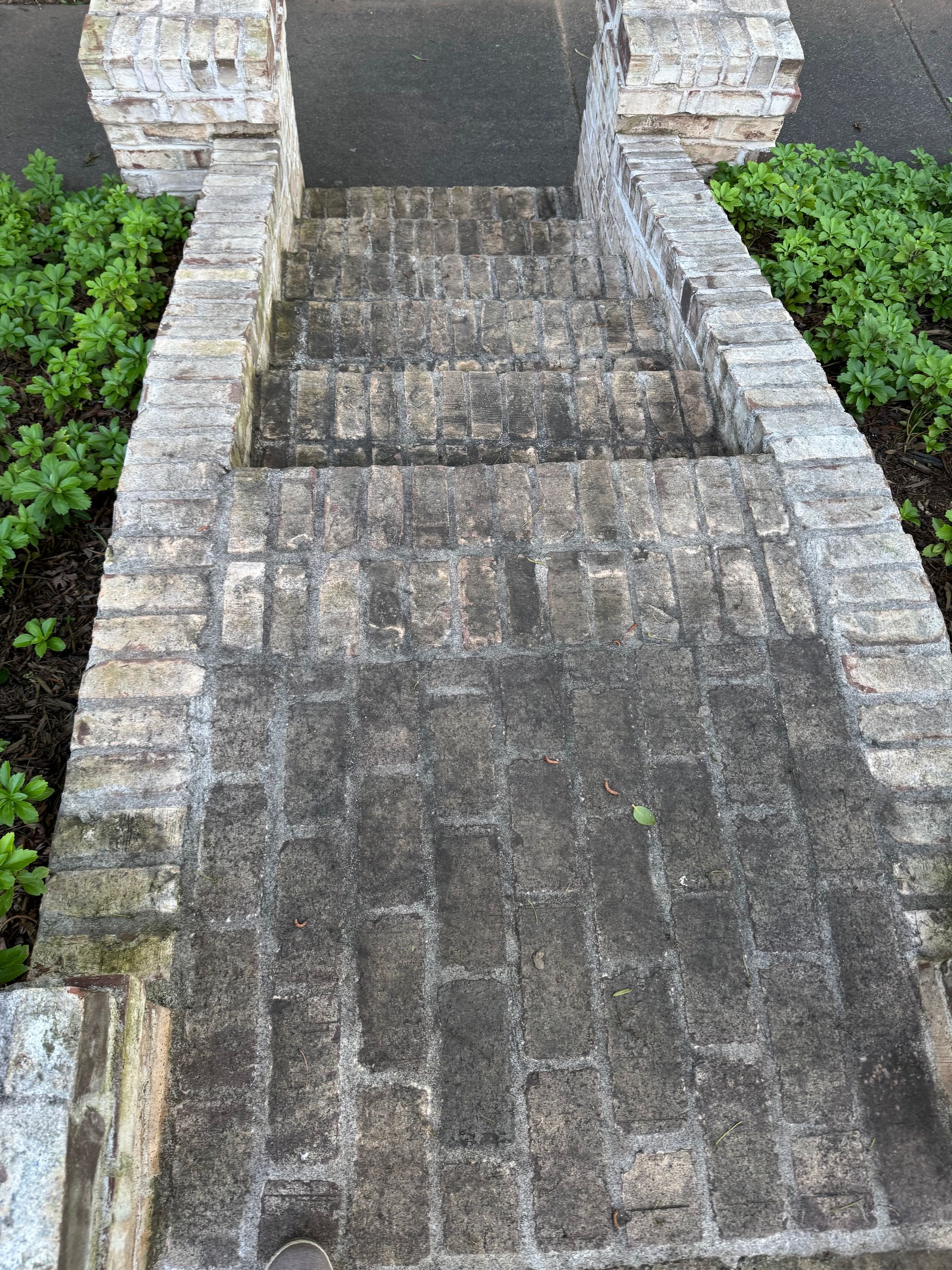 Windows Gutters LLC - Brick steps leading down, flanked by brick walls and green plants.