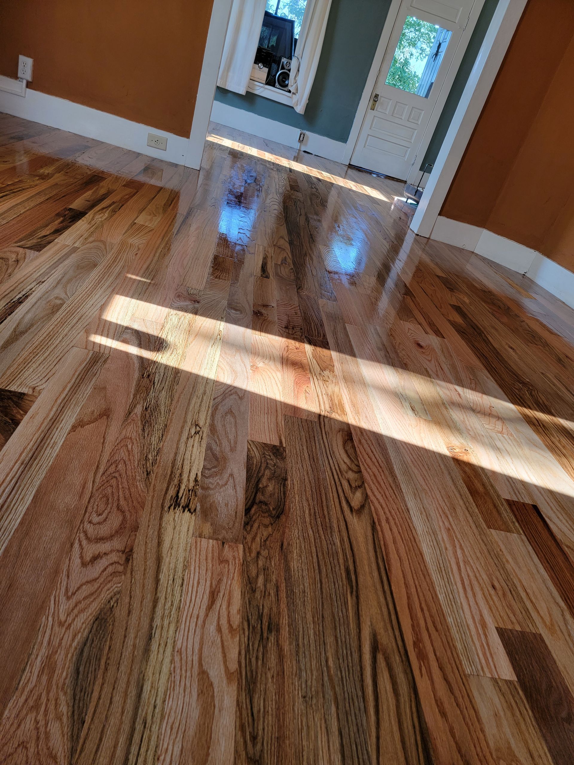 Sunlit hardwood floor in an empty room with orange walls and white trim, leading to a doorway.