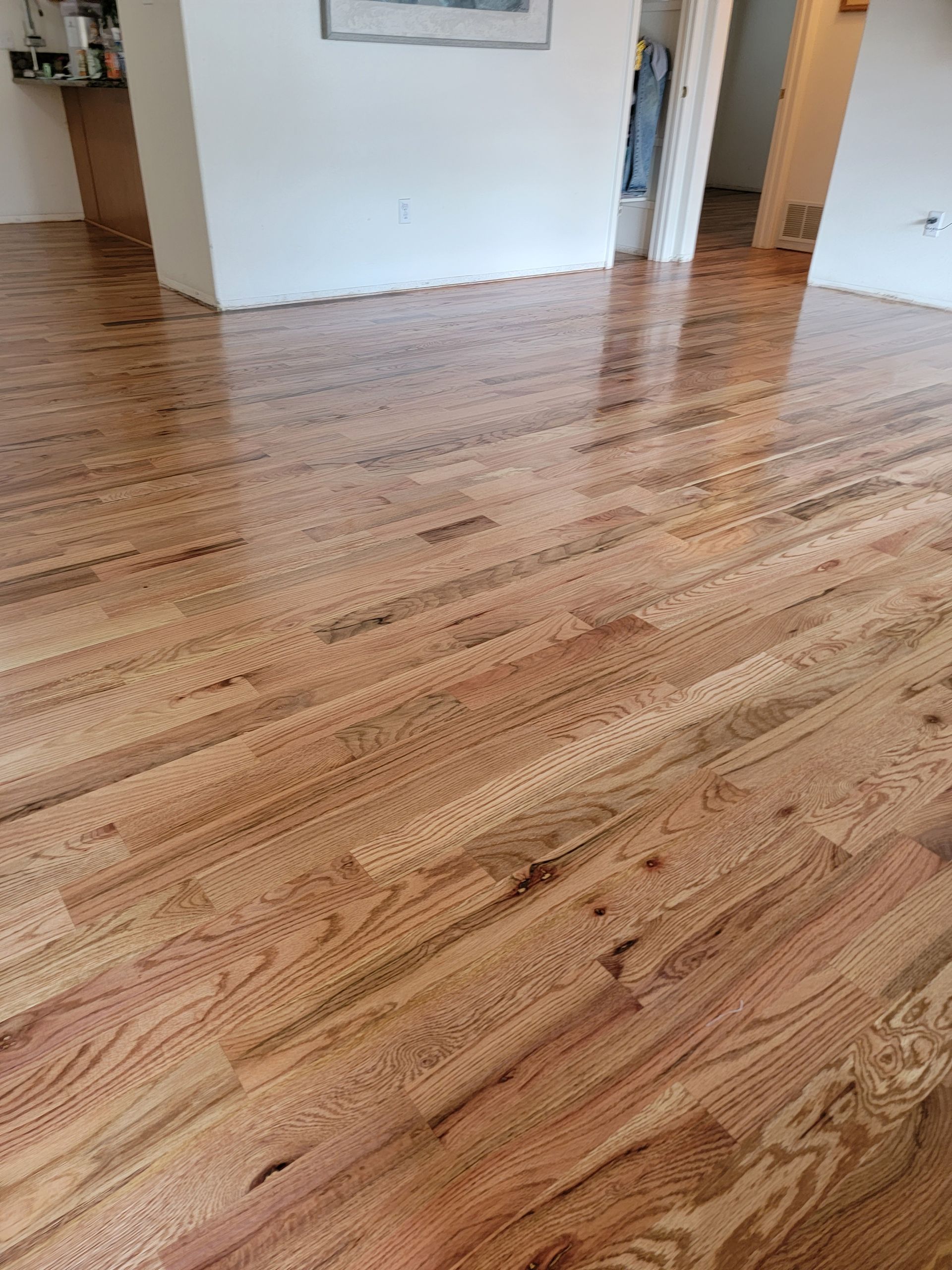 Empty hardwood floor in a room with white walls and doorways.