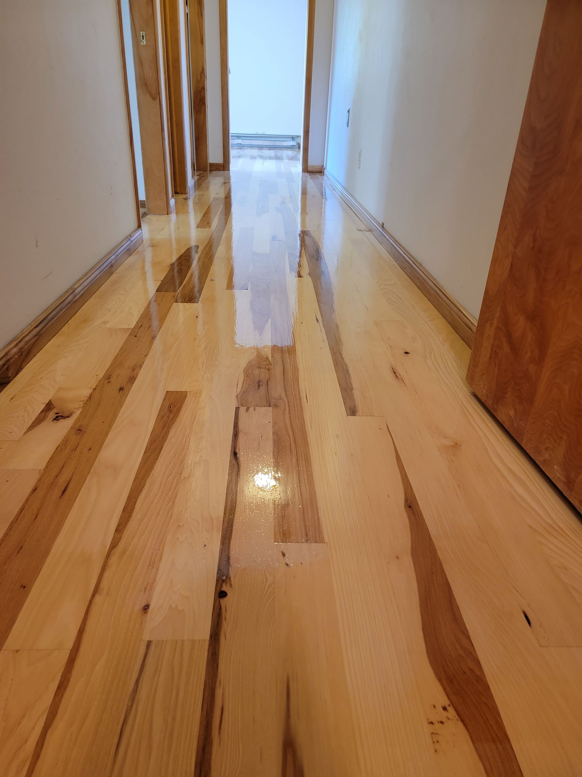 Shiny hardwood hallway floor with a reflective puddle and doors on both sides